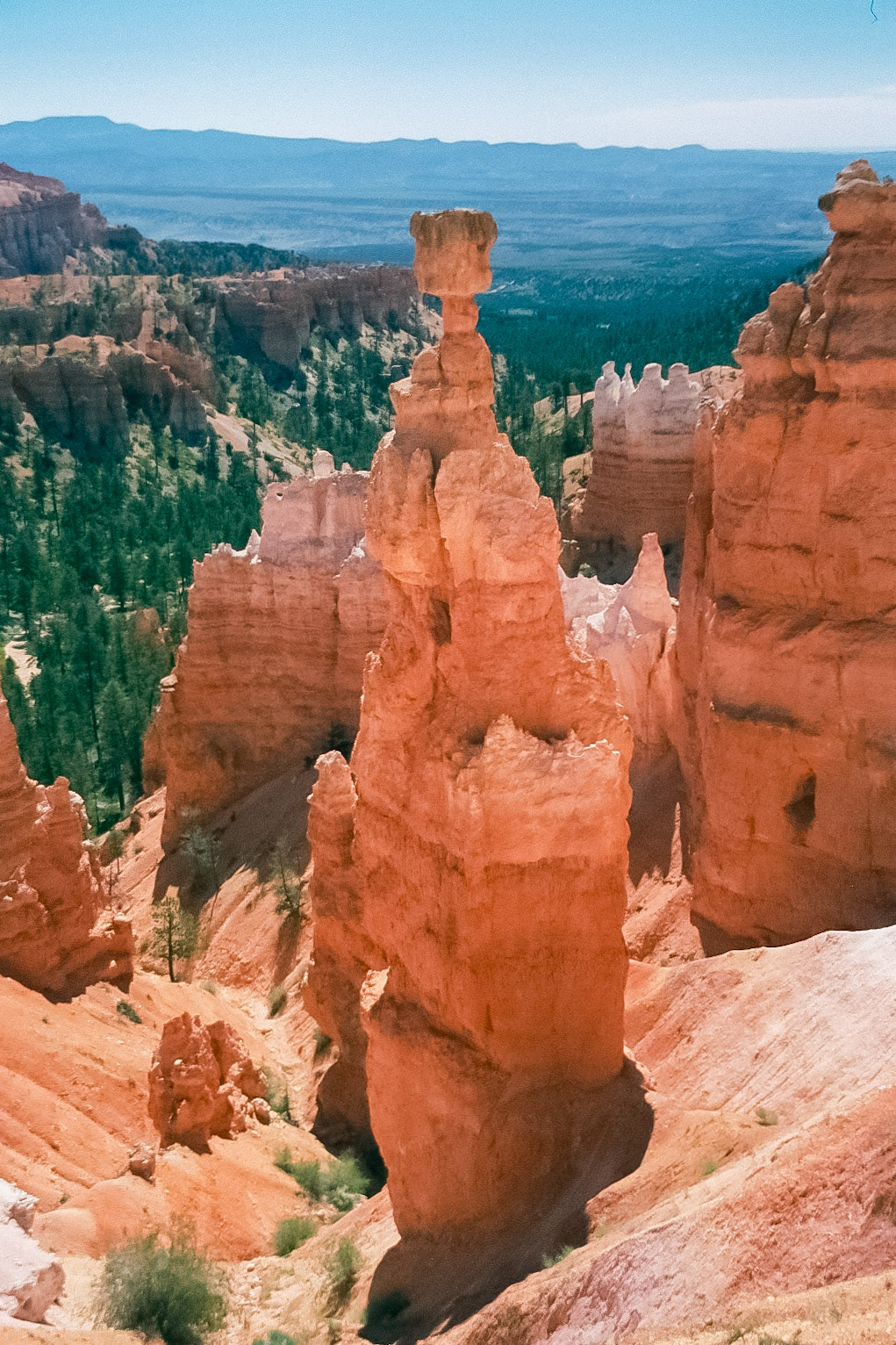 Thor's Hammer, Bryce Canyon