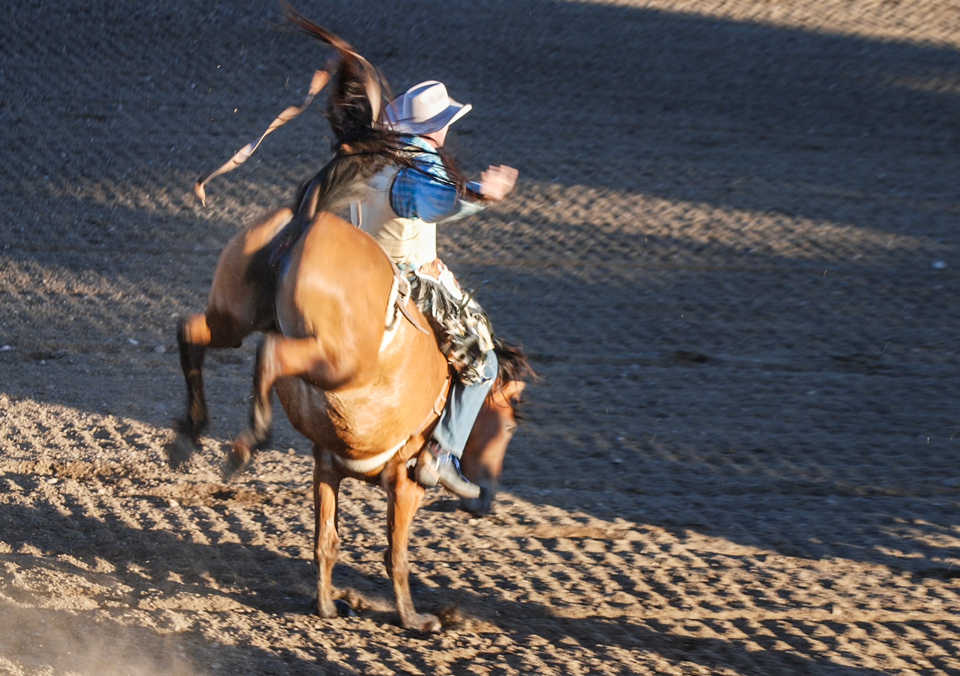 Rodeo