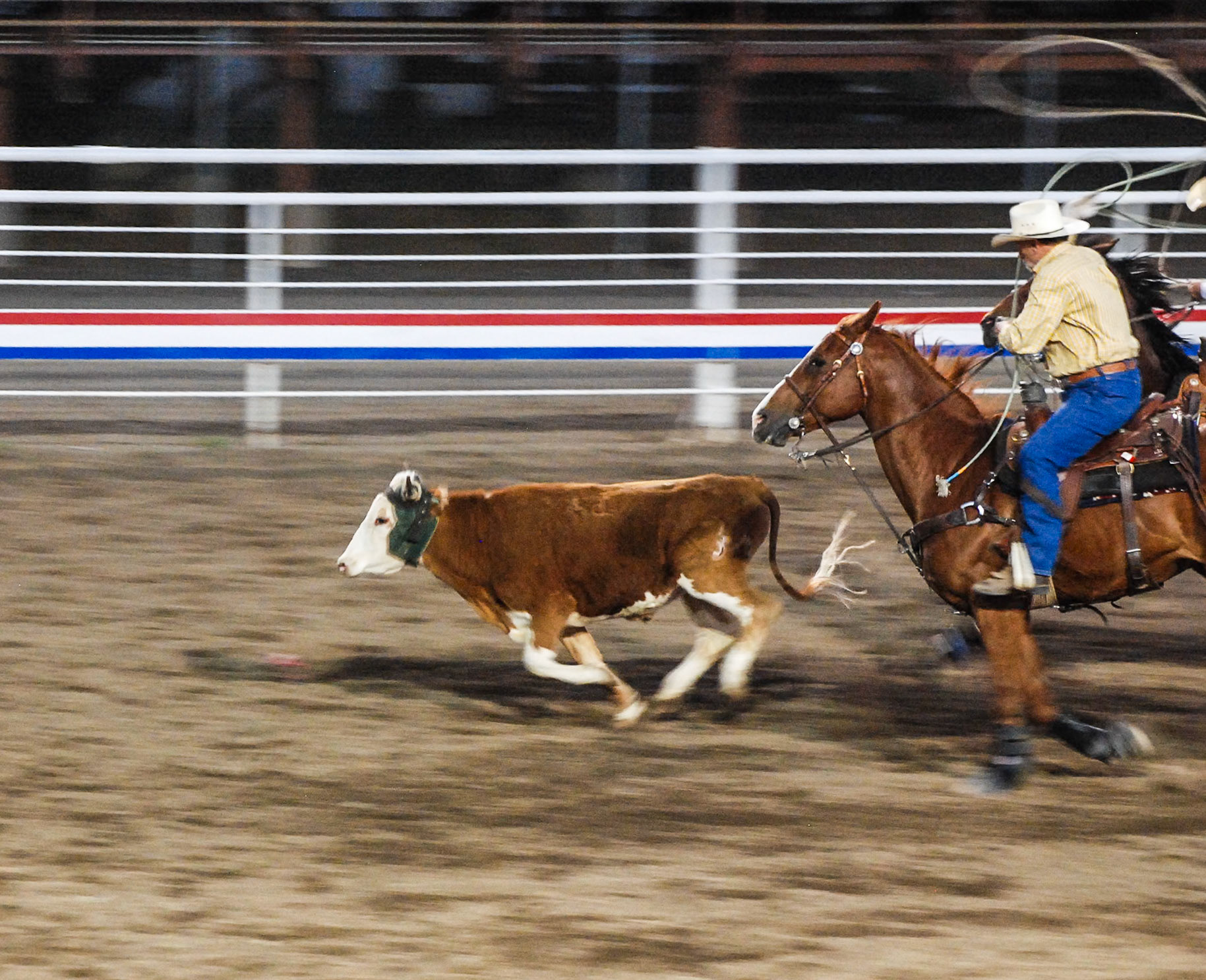 Rodeo
