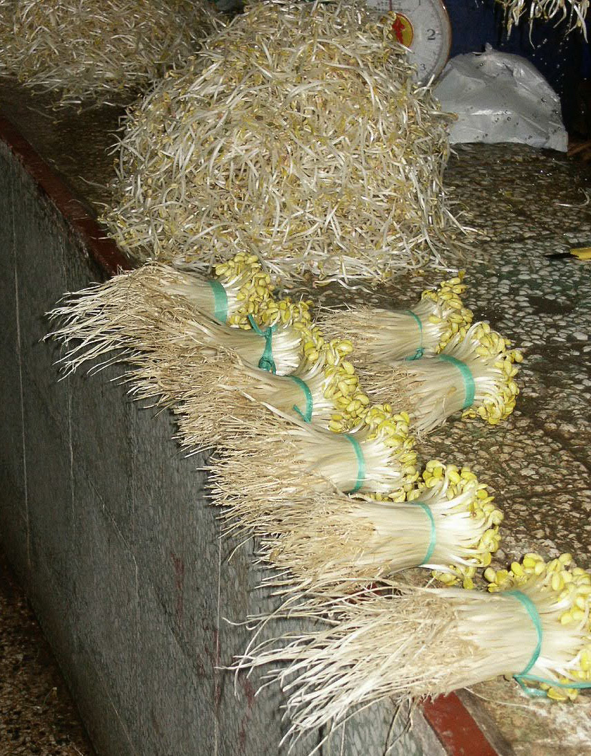 Beansprouts for sale on the Chongqing market
