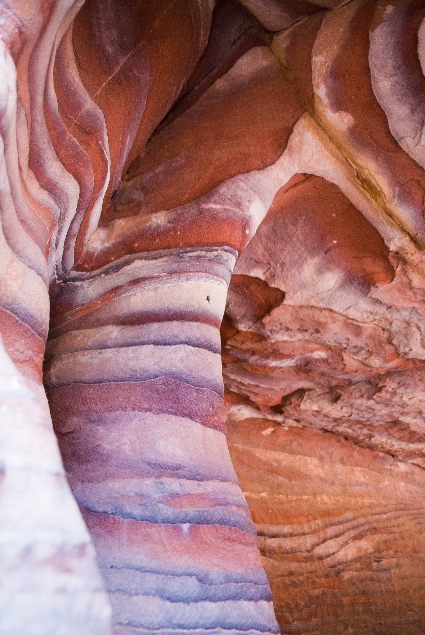 The coloration is entirely down to sedimentation minerals deposited in the sandstone