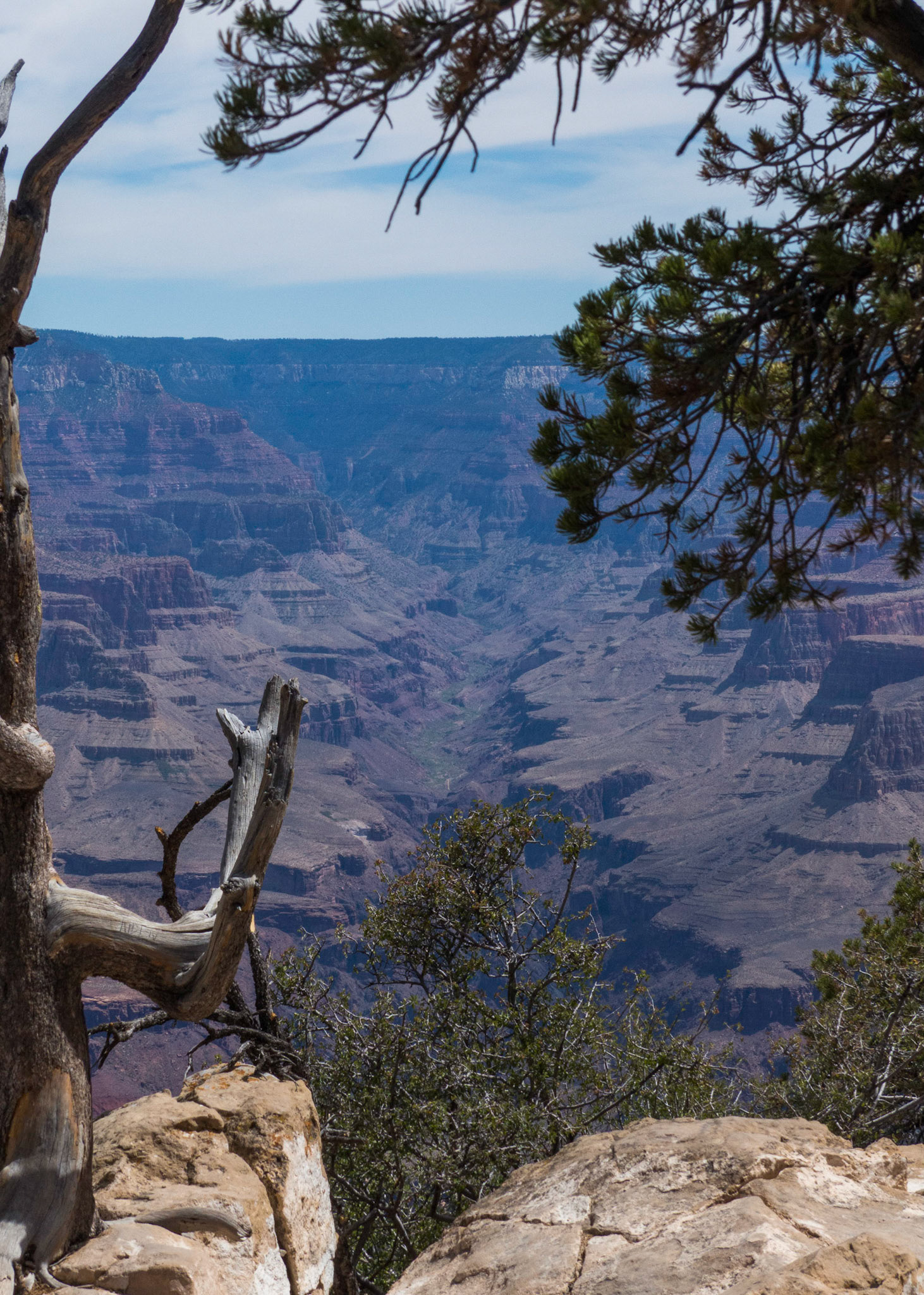 Bright Angel Fault Grand Canyon NP