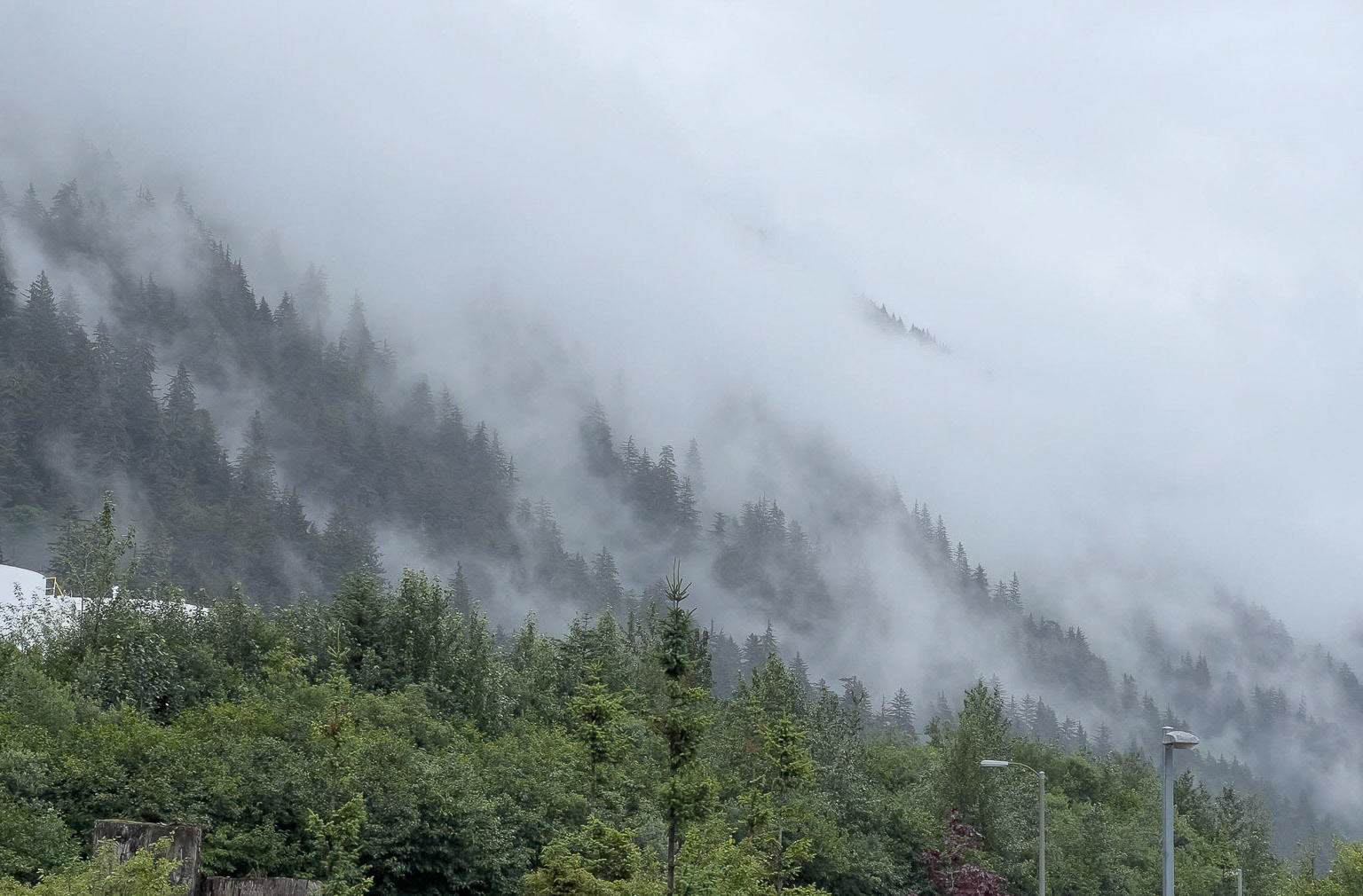 Mist and Rain in Sitka