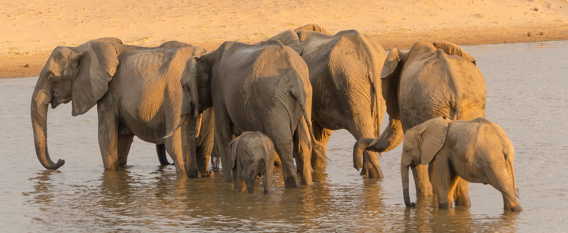 As I went down to the river to ….