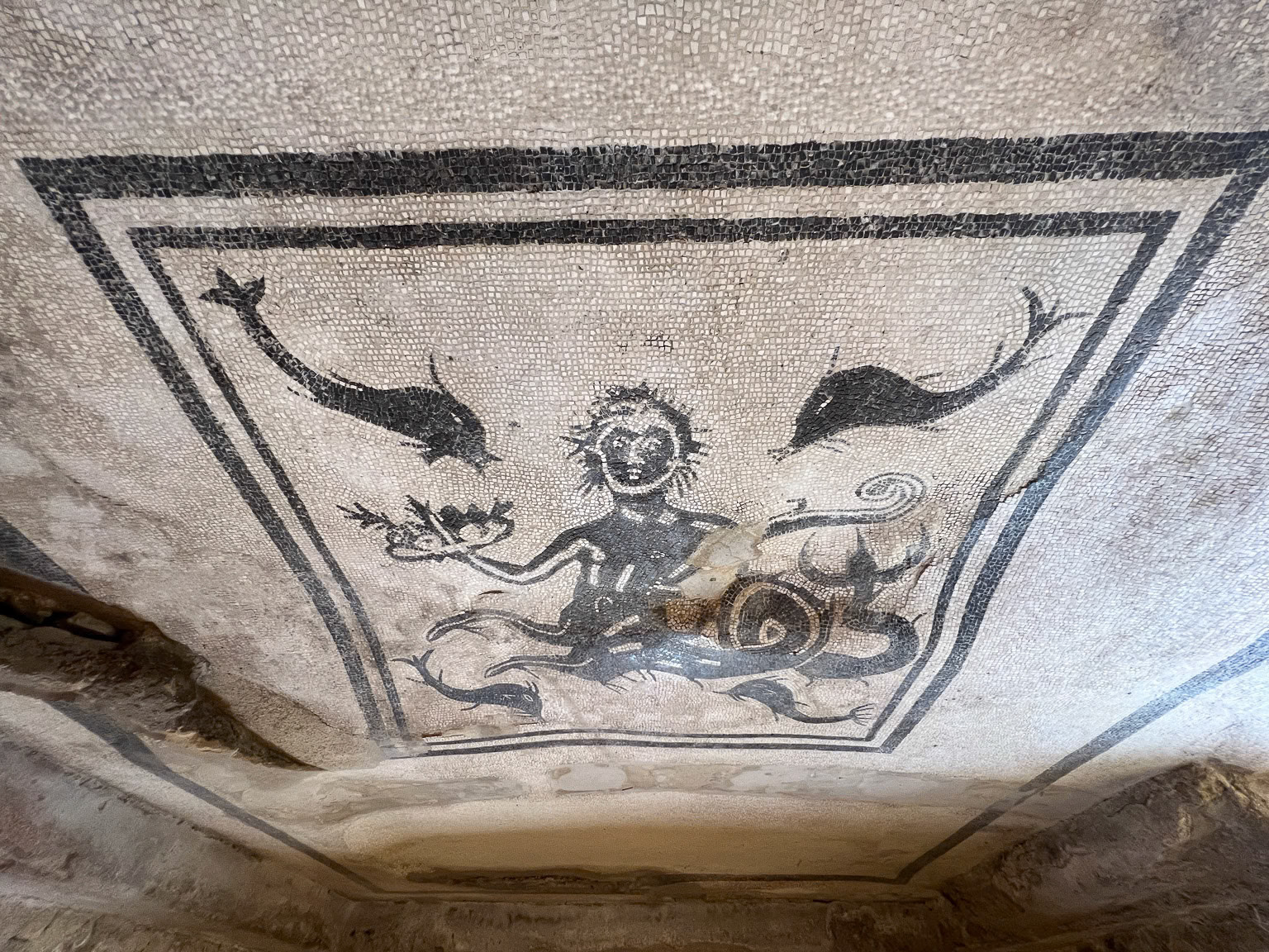 Sea Monster Mosaic (photo inverted)