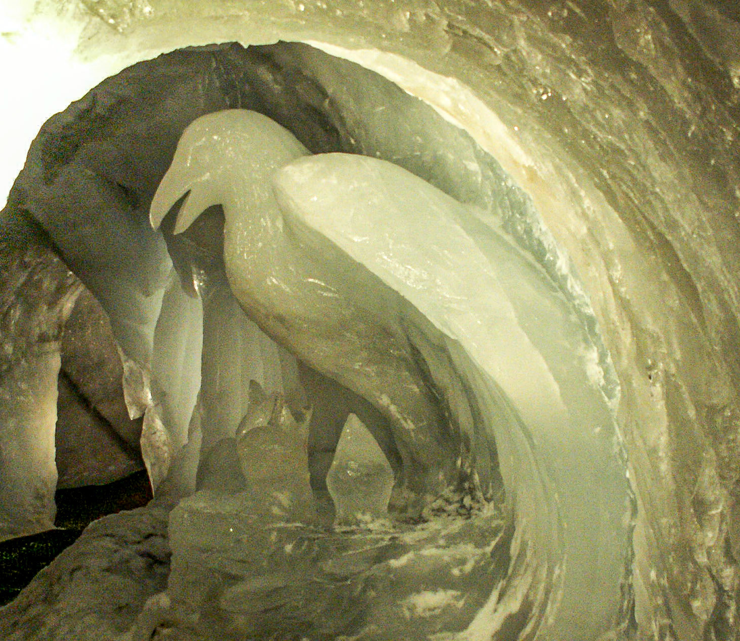 Ice Sculptures in the Meije Glacier
