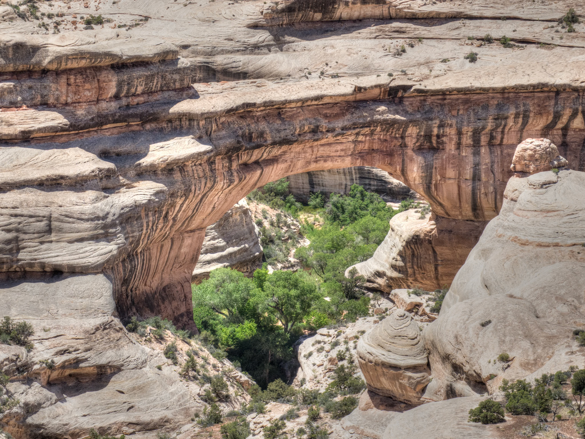Sipapu Bridge - Natural Bridges NM