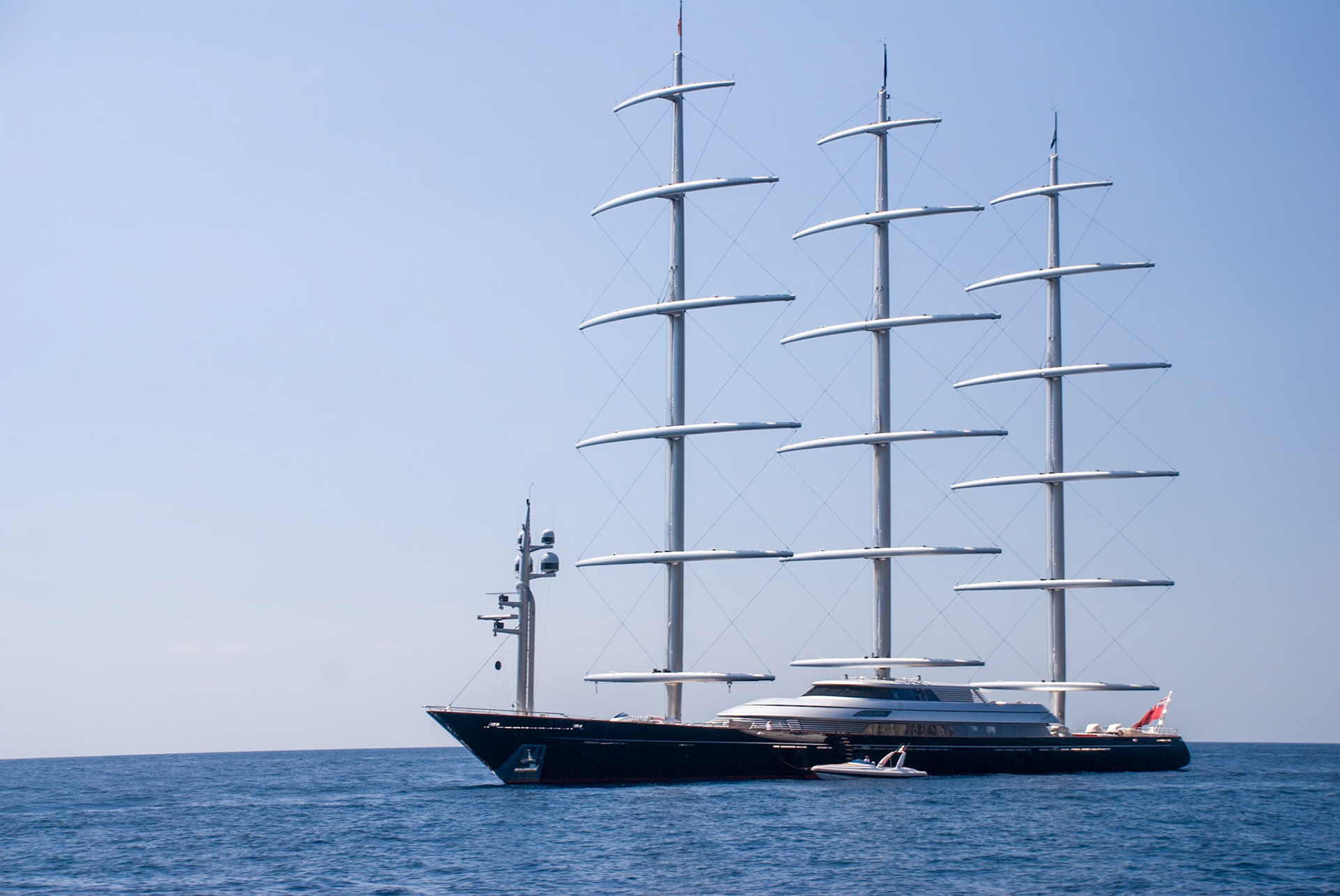 Maltese Falcon