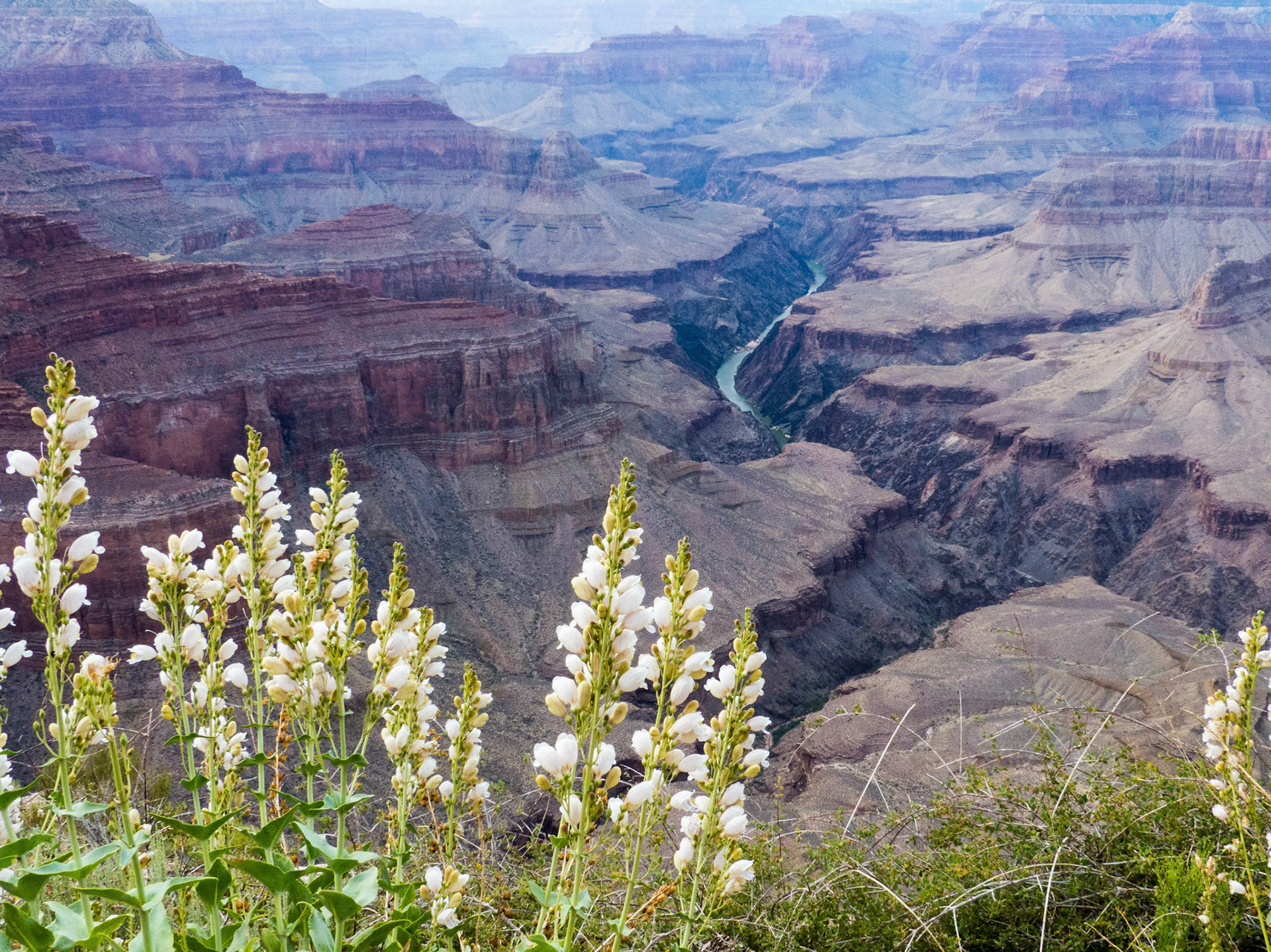 ...with Boucher Rapids in the distance