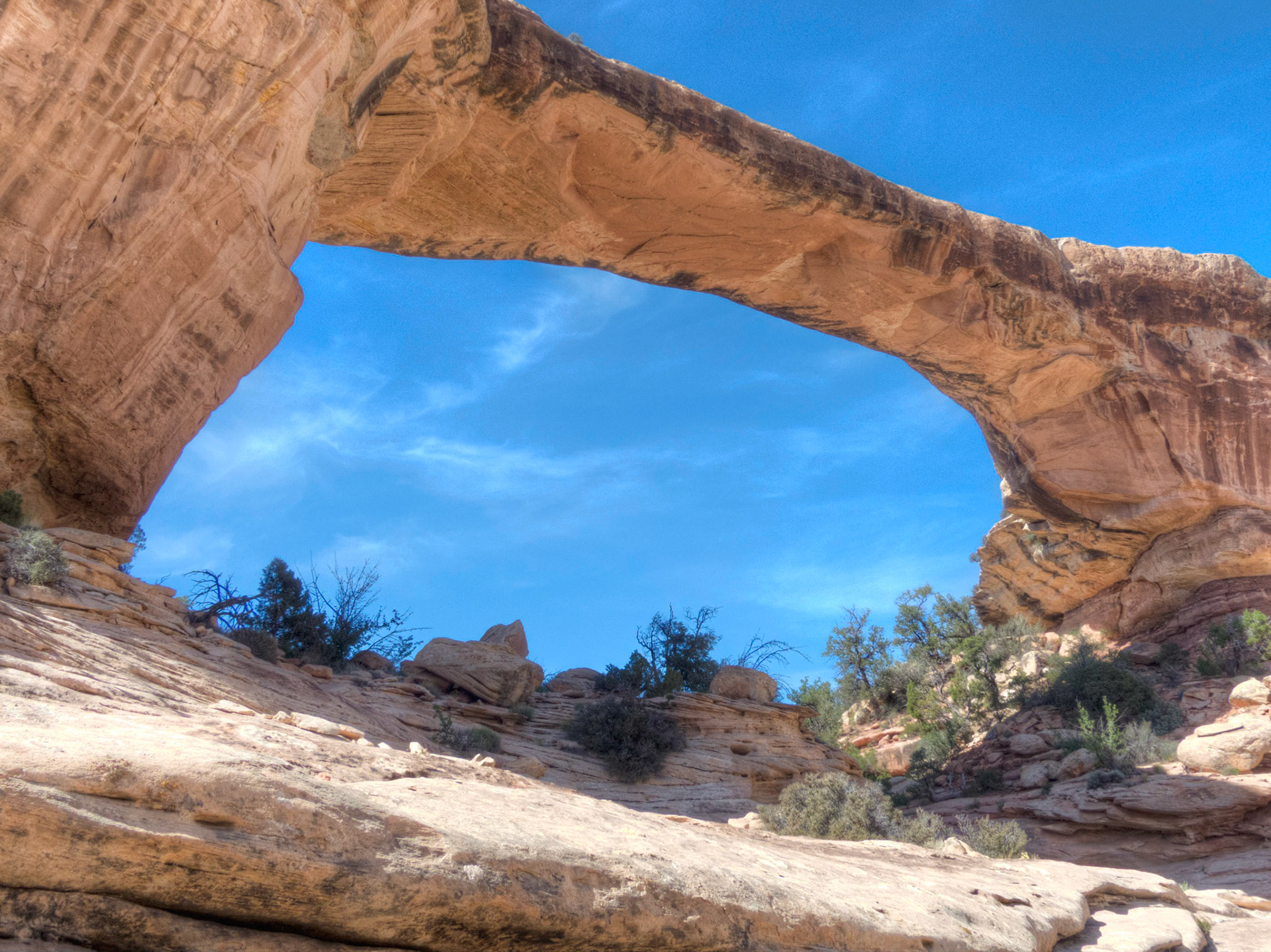 Owachoma  Bridge - Natural Bridges NM