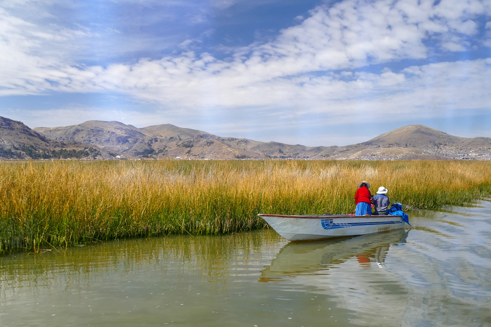 Lake Titicaca -harvesting   the reeds for the floating islands