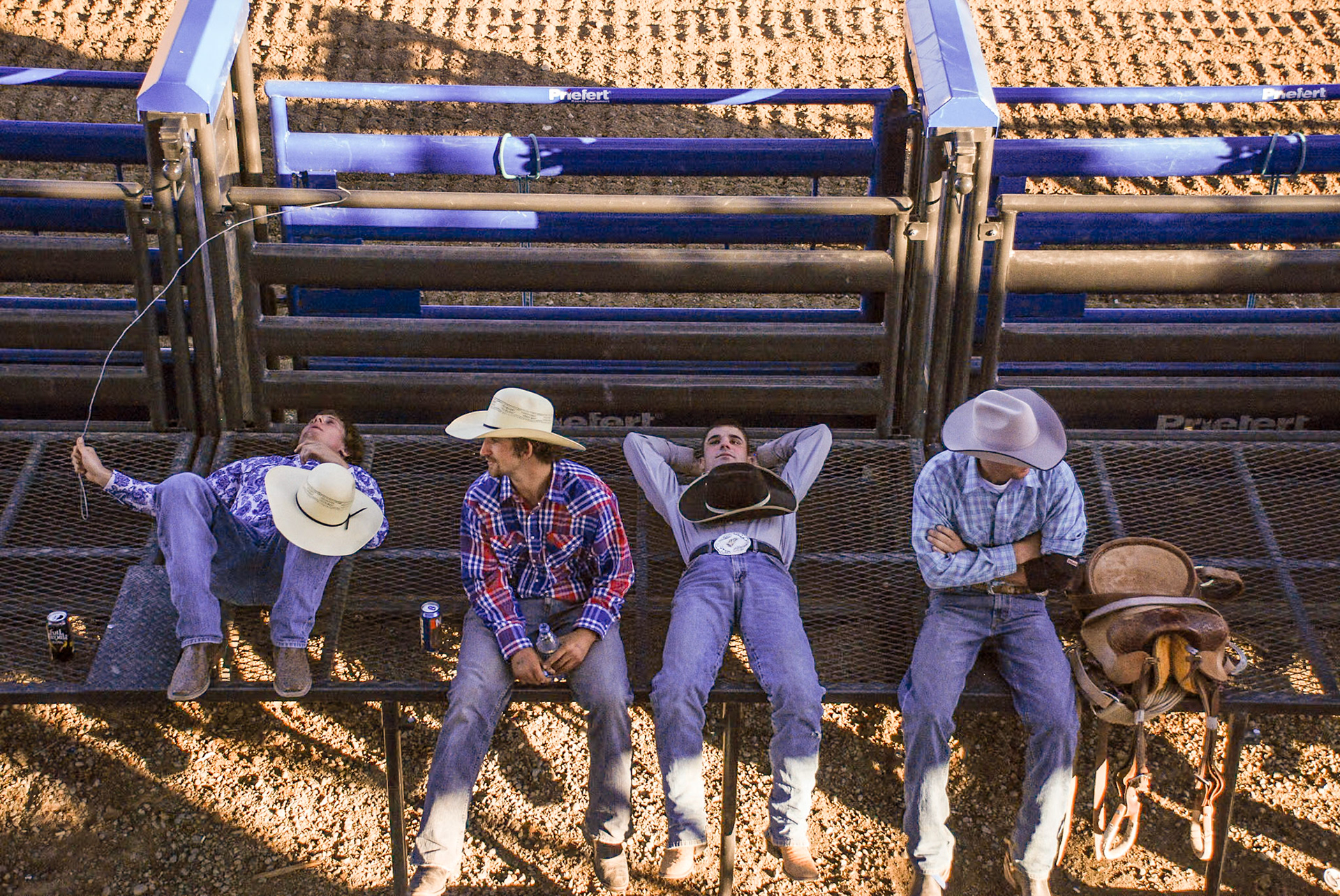 Rodeo