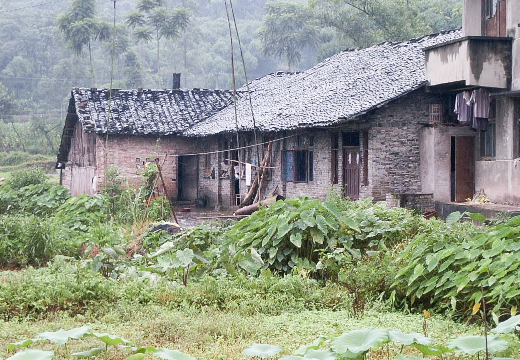 Rural Life near Chongqing