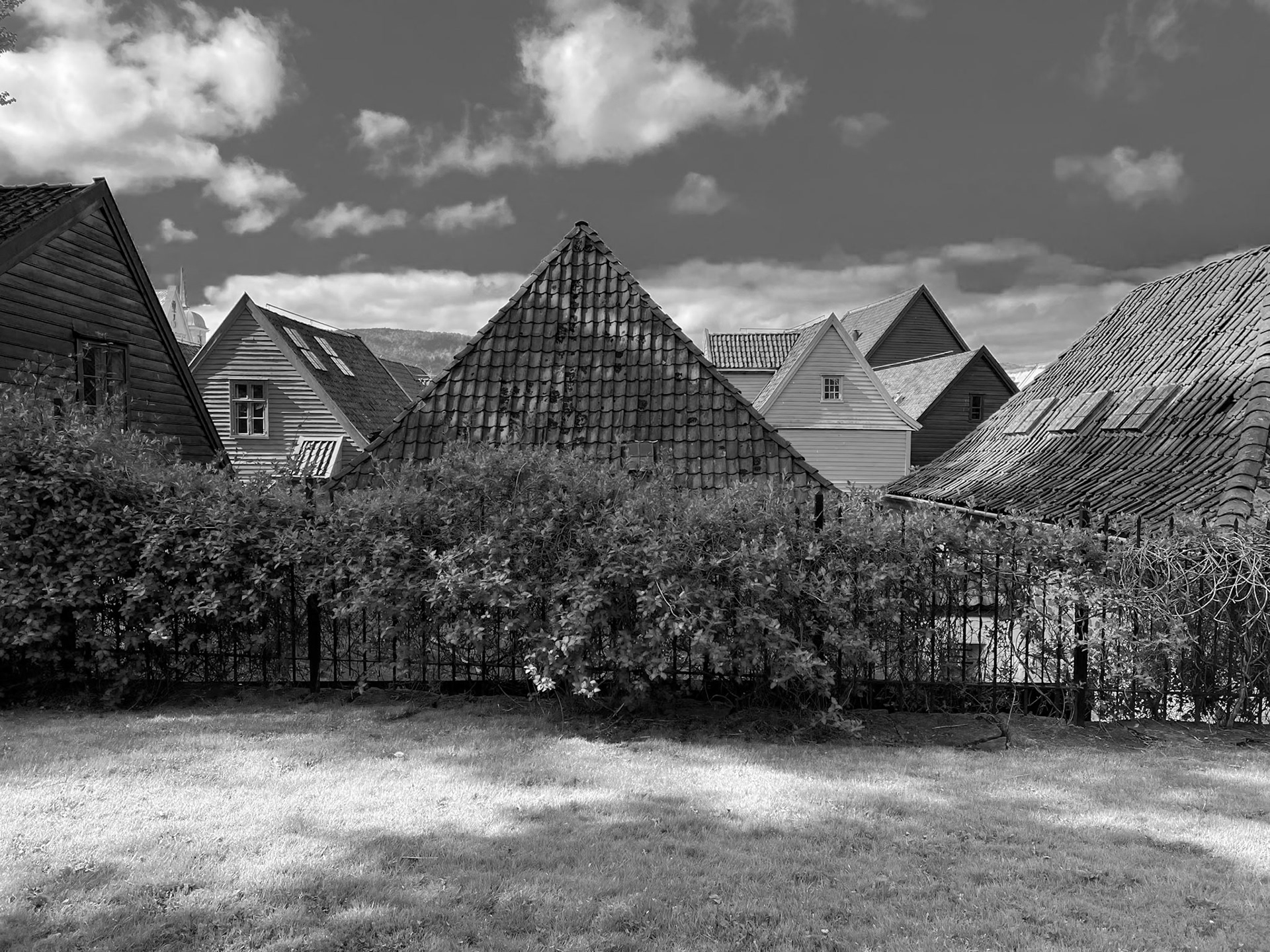 Bergen Old Town Roofscape