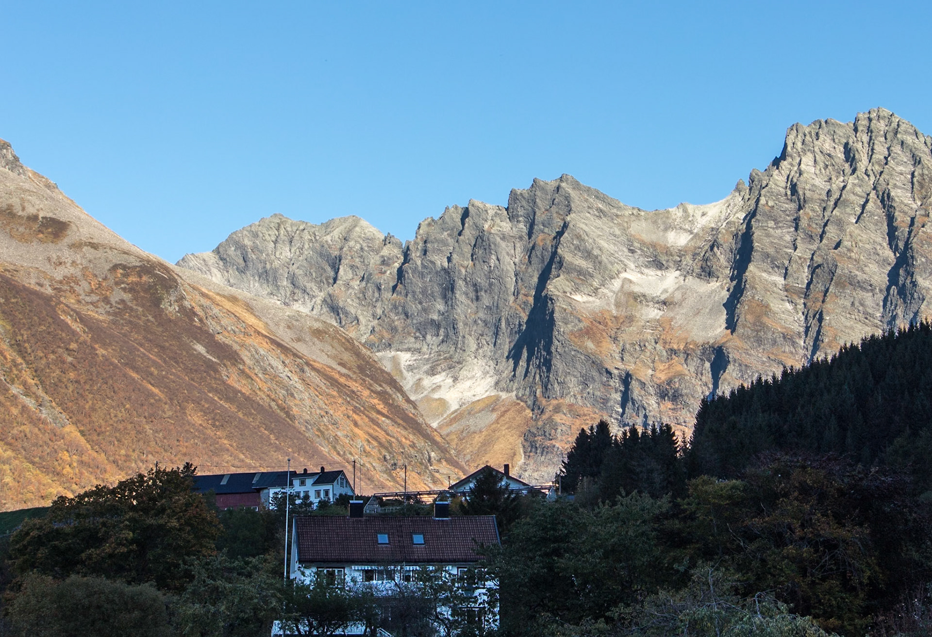 Nestled amongst Giants