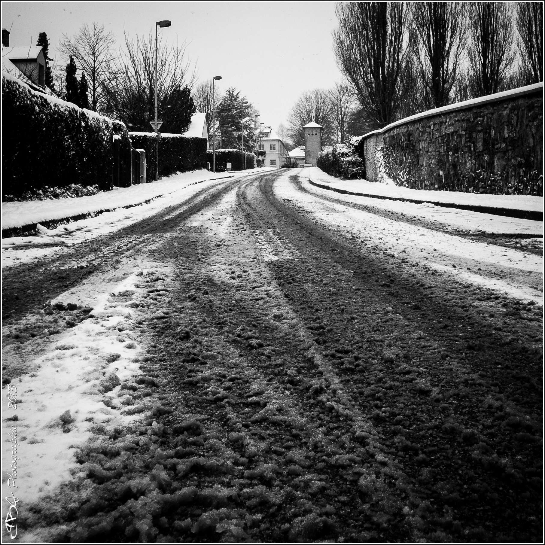 Follow the trail...