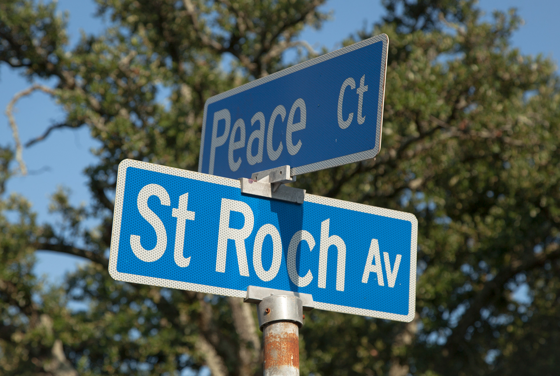 Peace + St. Roch