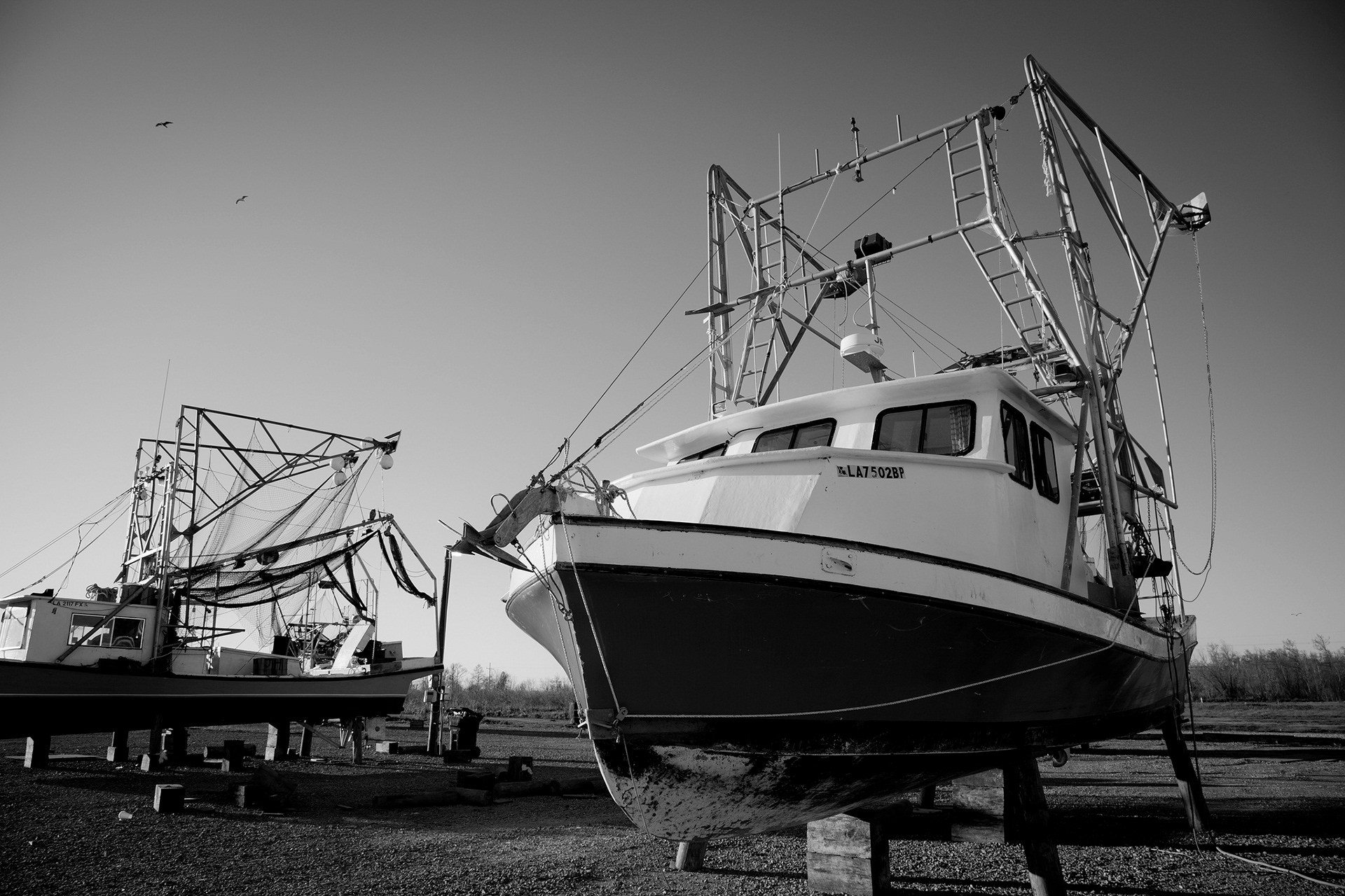 Venice, Louisiana