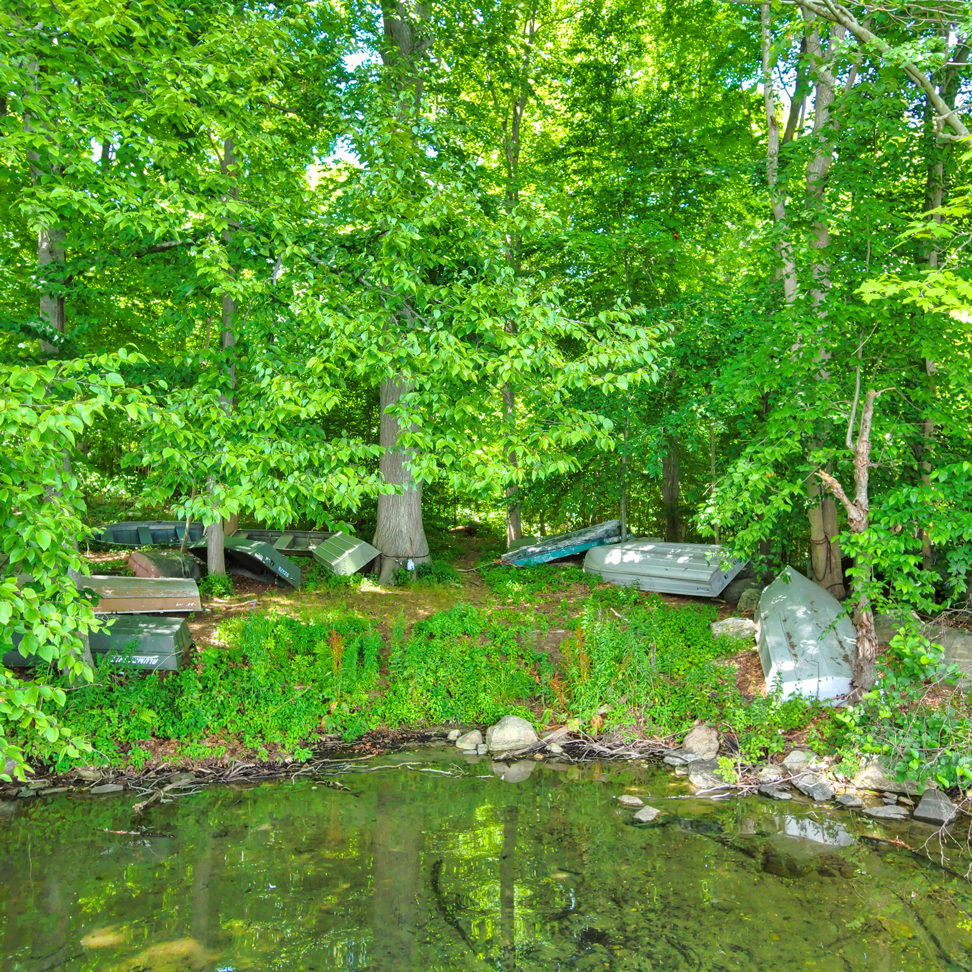 Row boats line the shore of Cross River Reservoir