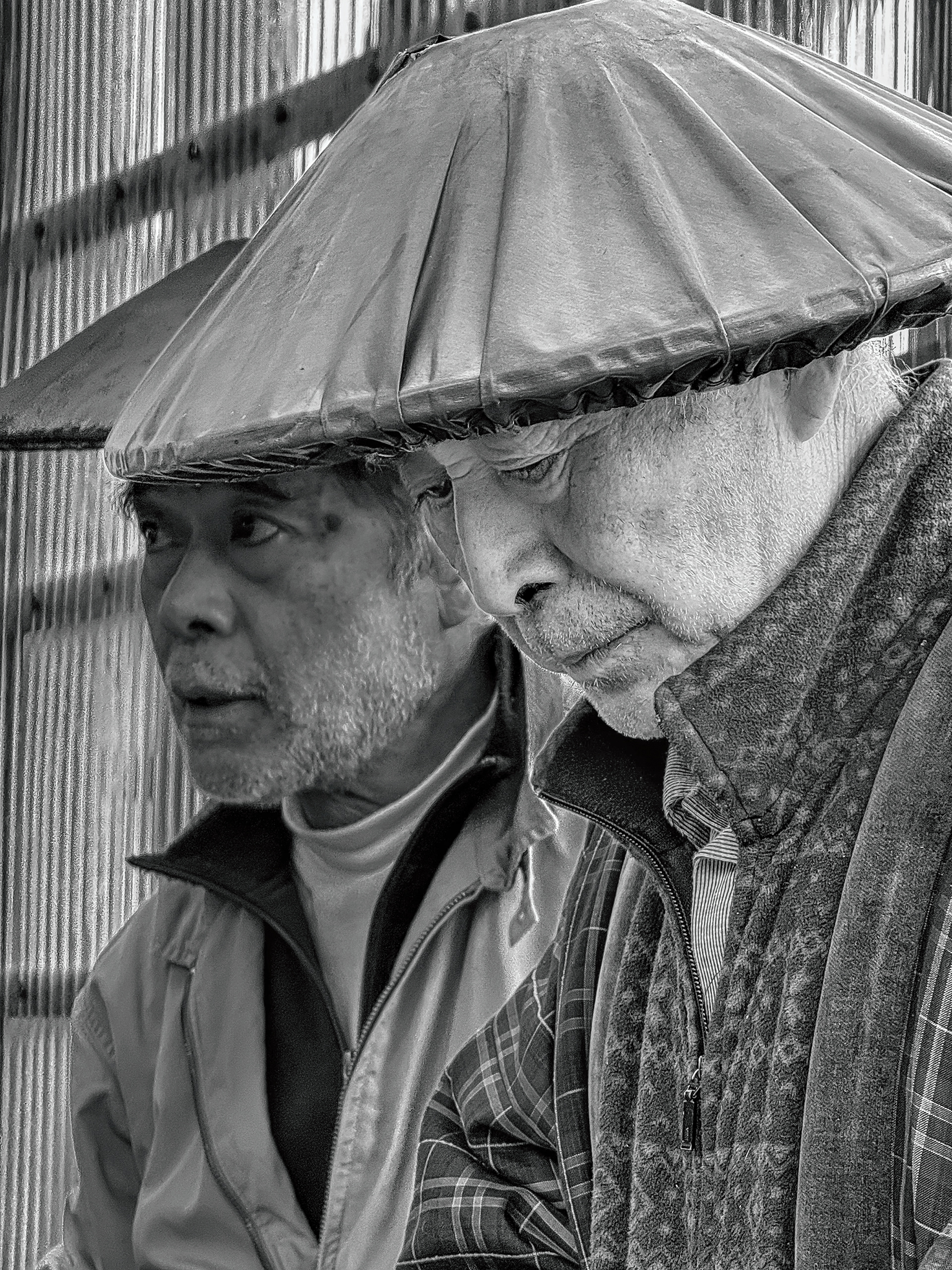 Oofuchi Hideaki and family run Fukusawa Koi Farm