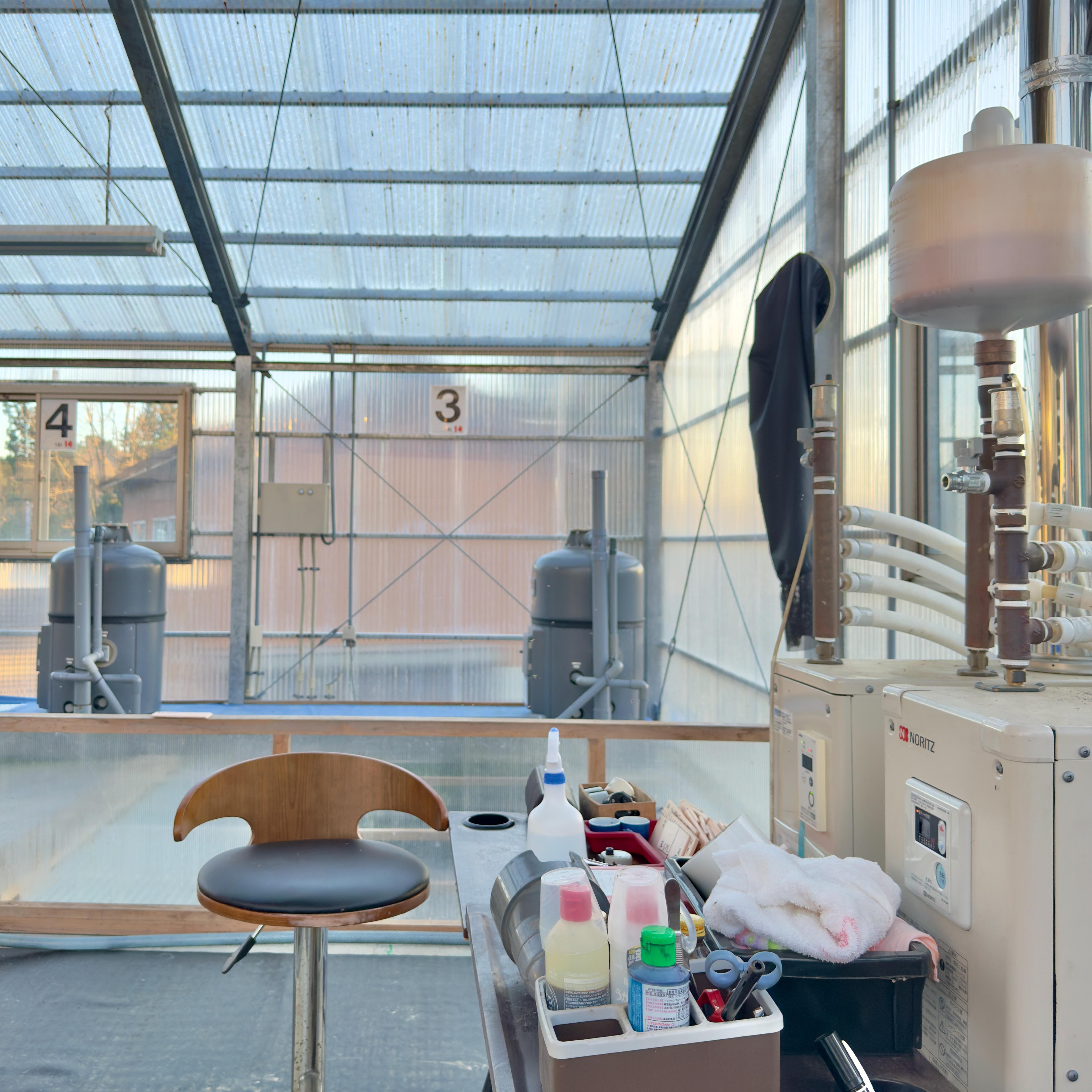 Marushink Koi Farm is a very pristine facility