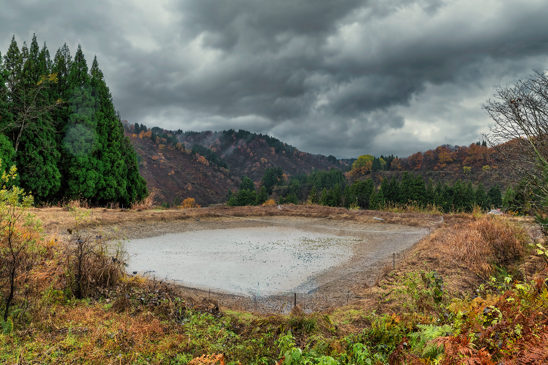 One of hundreds of ponds at Fukusawa 