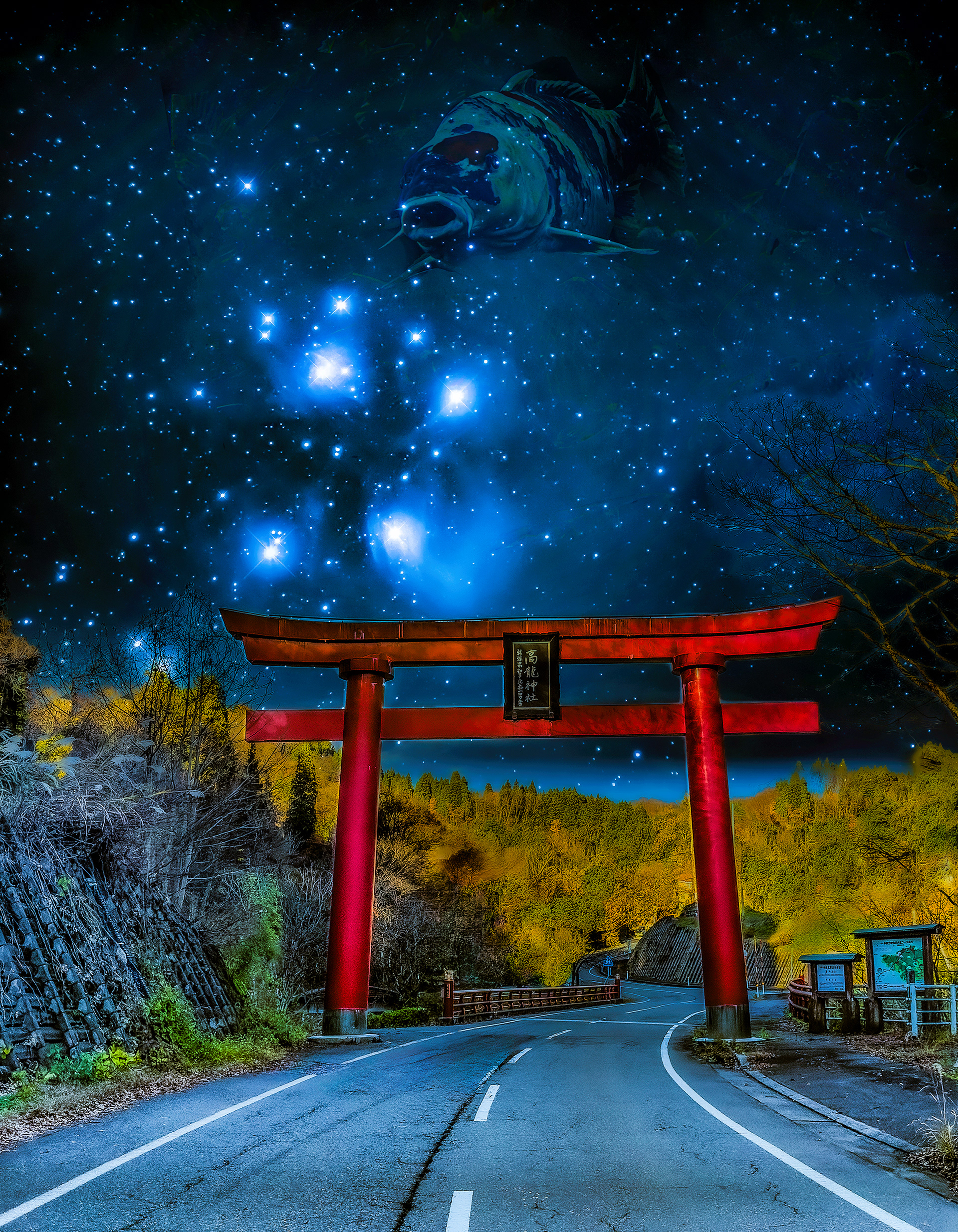 The Koi Gods watch over Ojiya, Japan