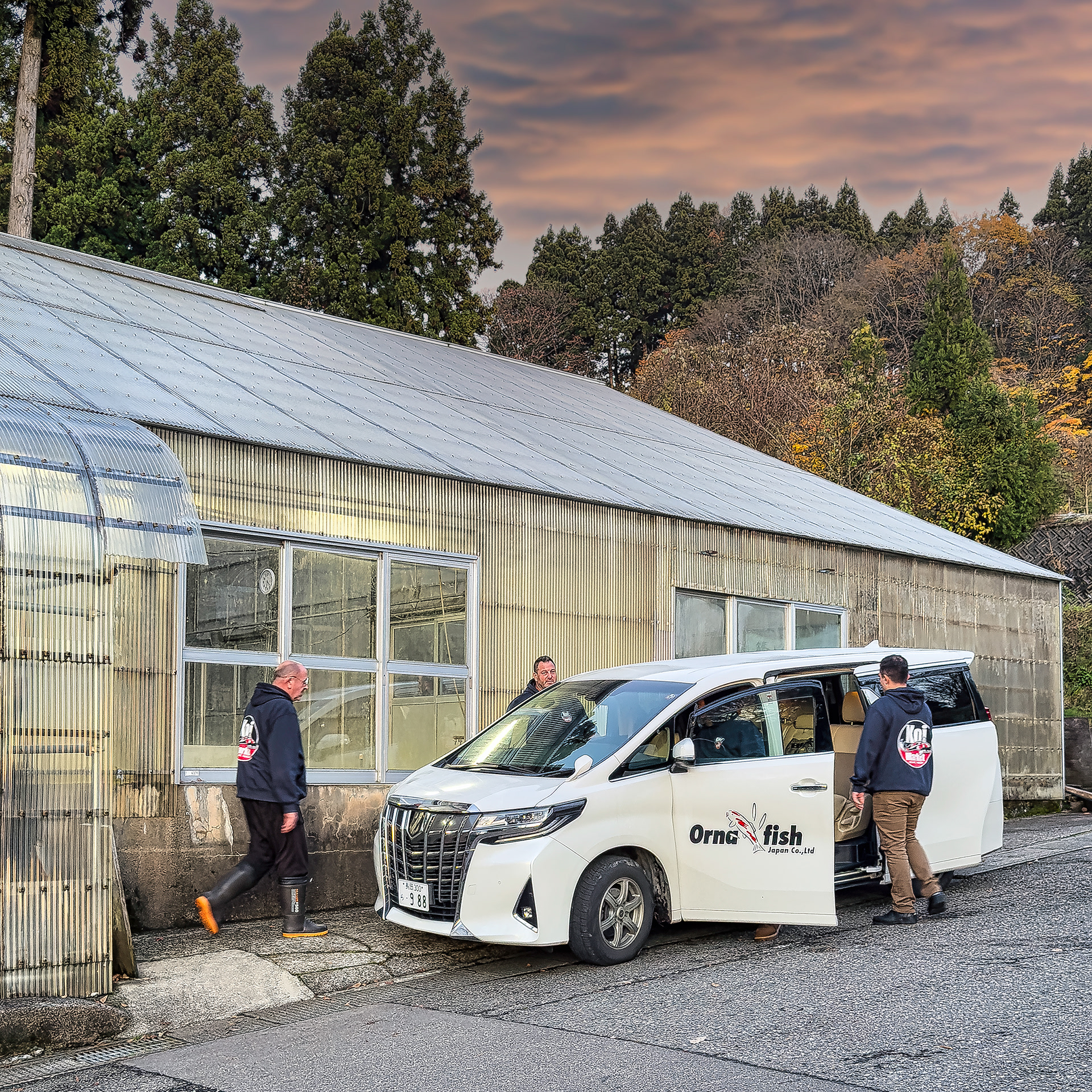 Tha's a wrap at Shinoda Koi Farm