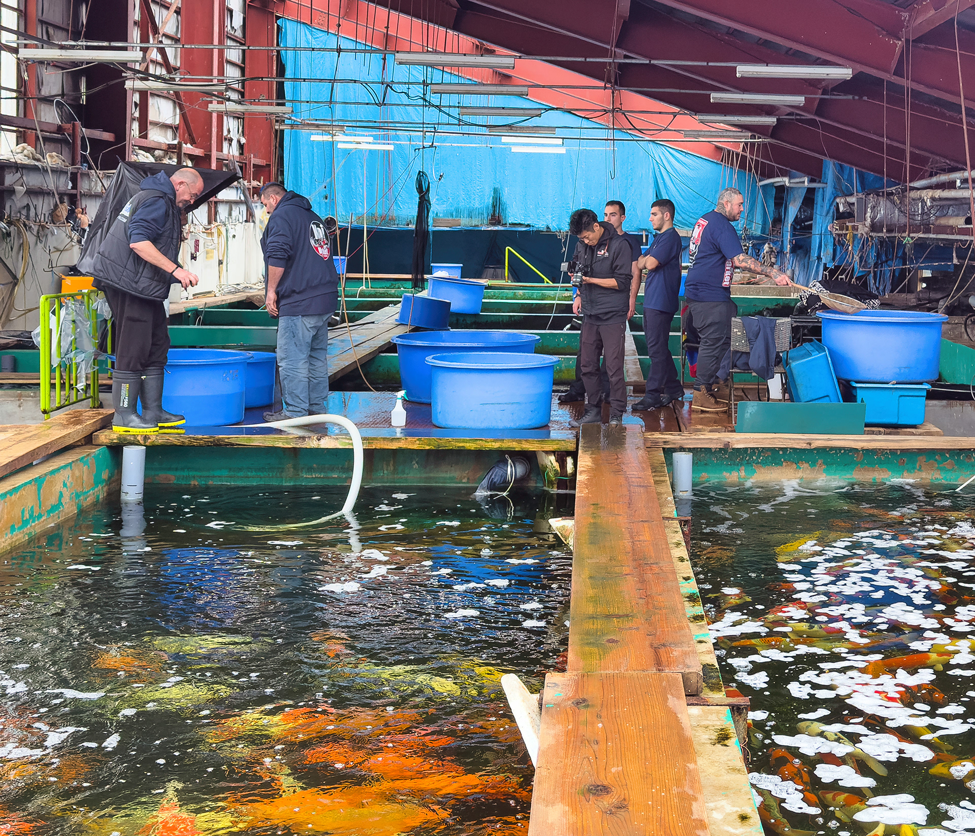 Inside Marusei Koi Farm