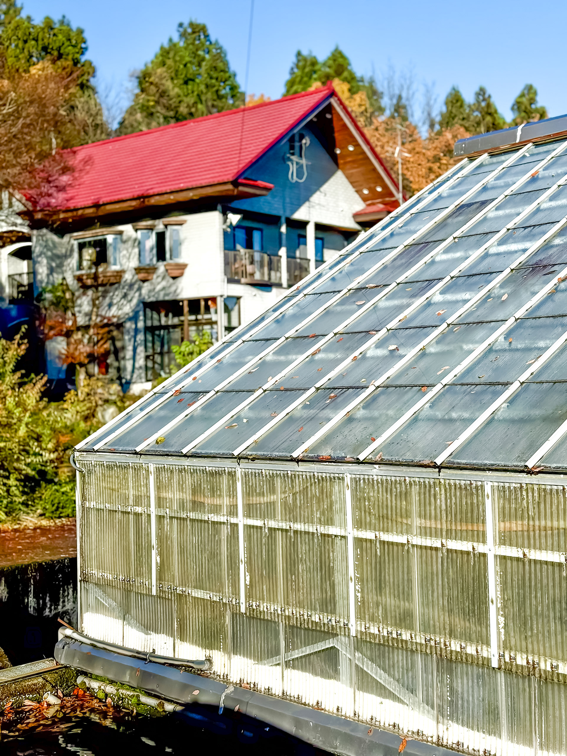 Suda Kai Koi Farm main house