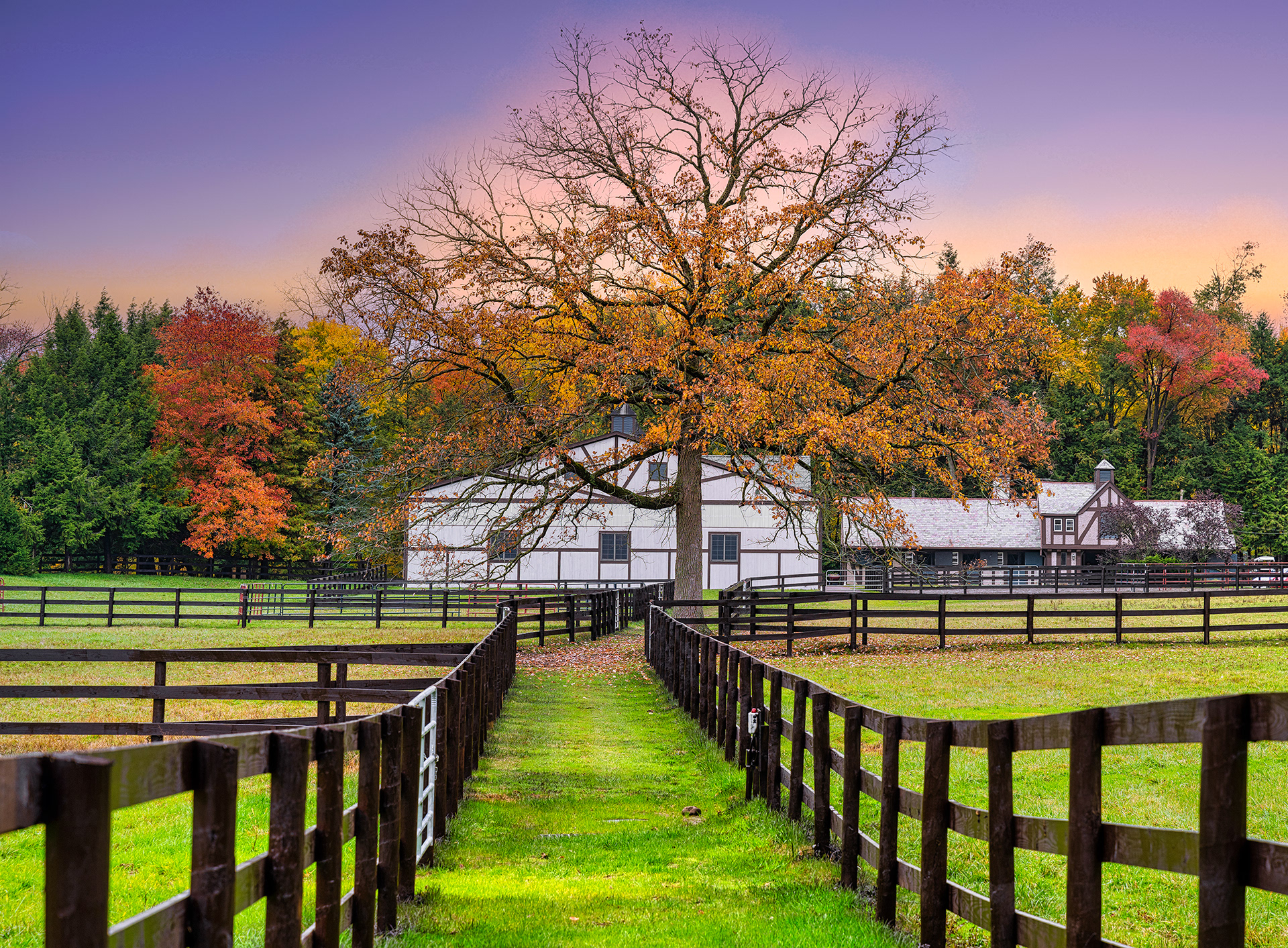 Fischer Farm, Bedford, NY