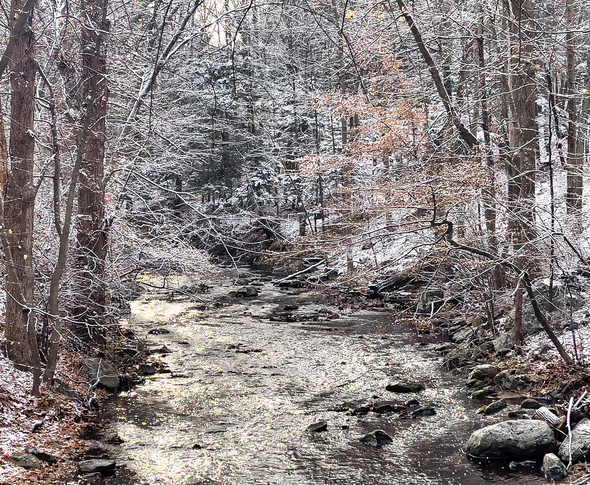 Stone Hill Creek in winter