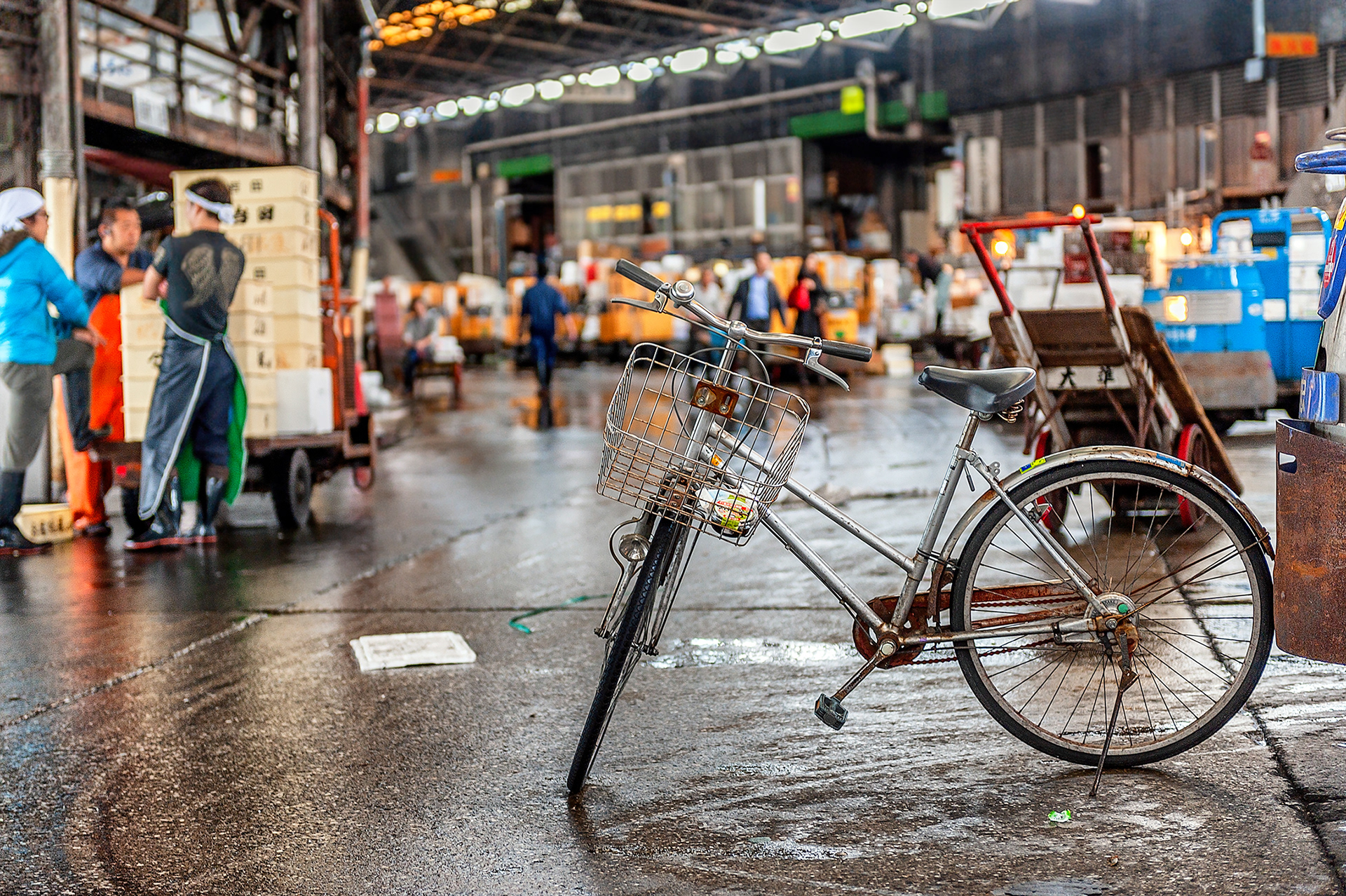 There are many ways to navigate Tsukiji Market