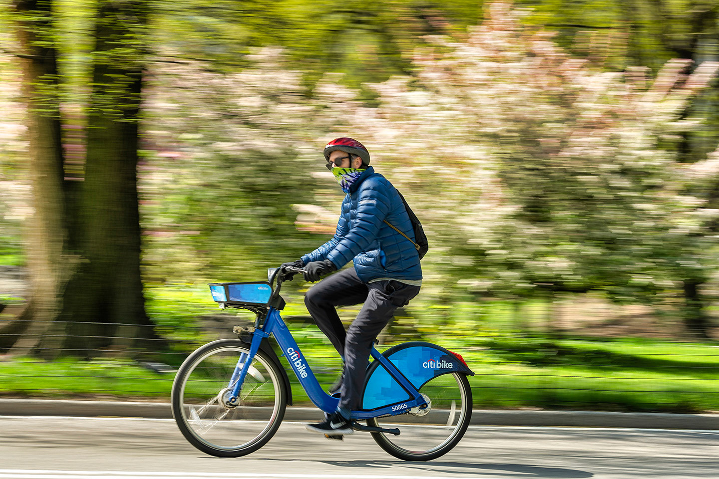 Lone bike rider on CitiBike in Central Park speeds past in a blur wearing a mask during COVID19