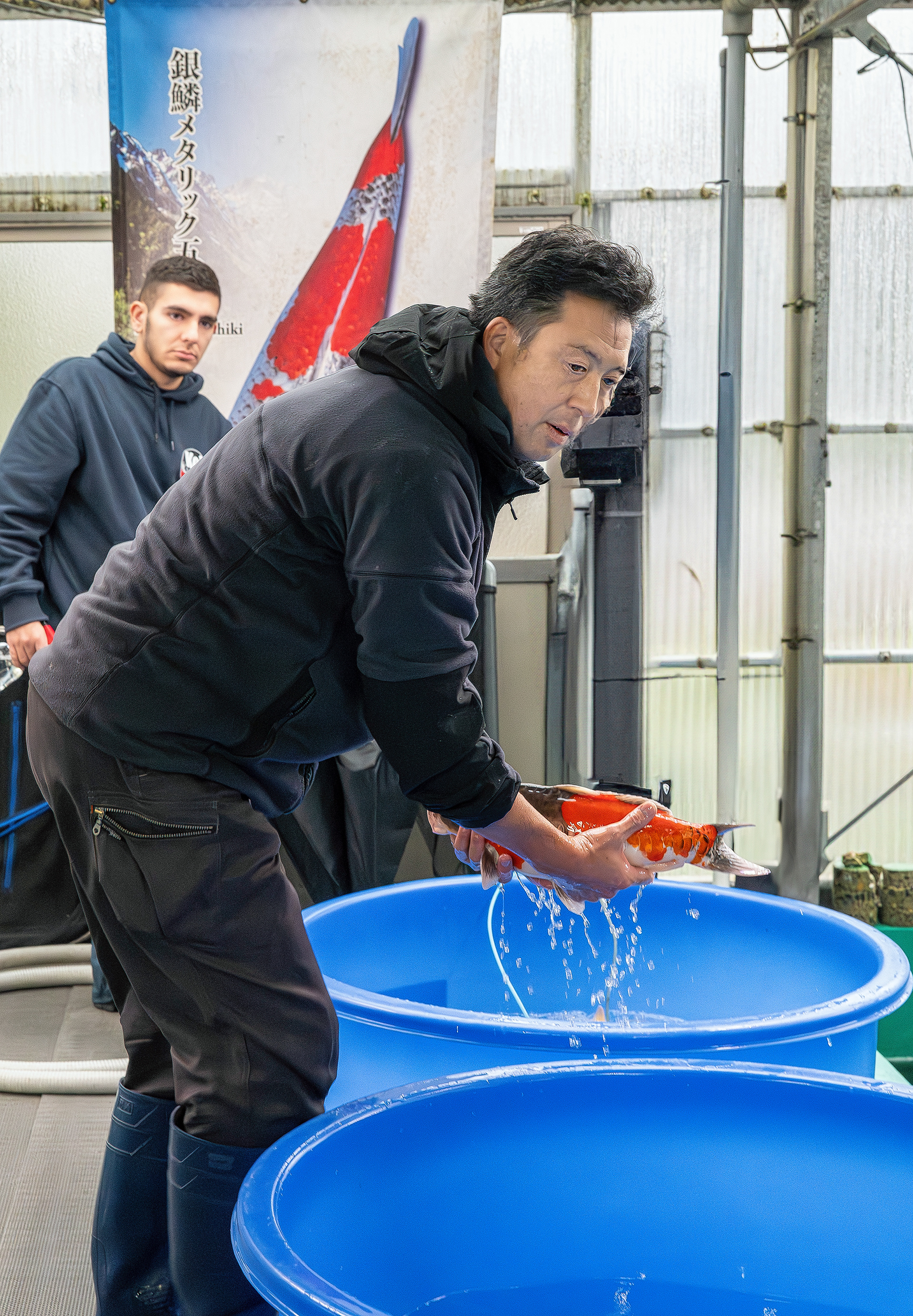 Ao Aokiya moving the koi