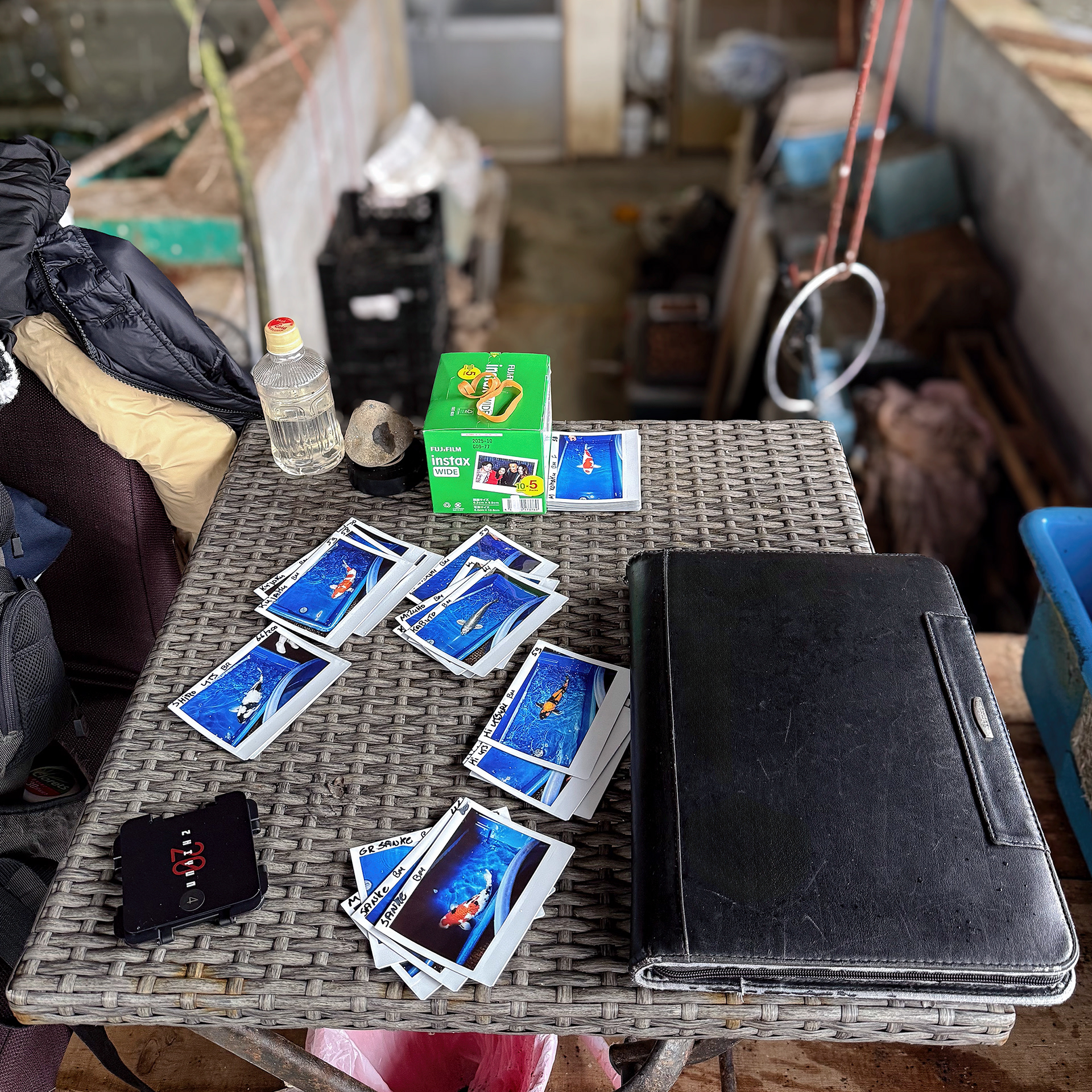 Documenting koi for the auction with old school polaroids