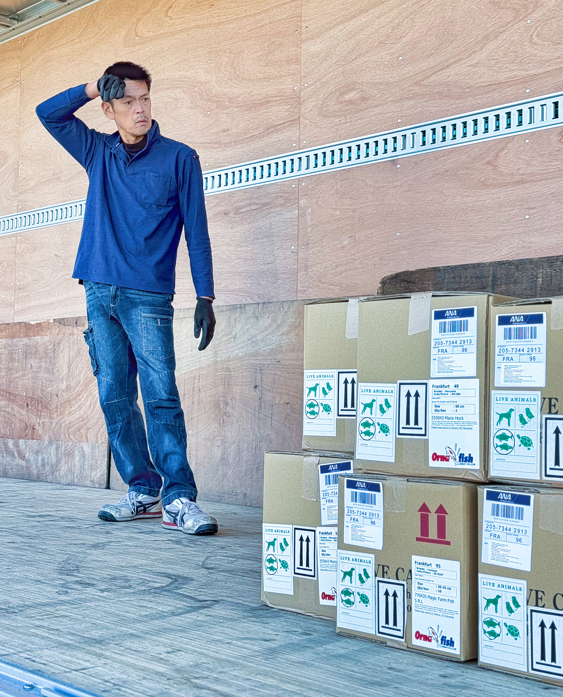 Truck driver thinking about the many koi still to come onto his truck