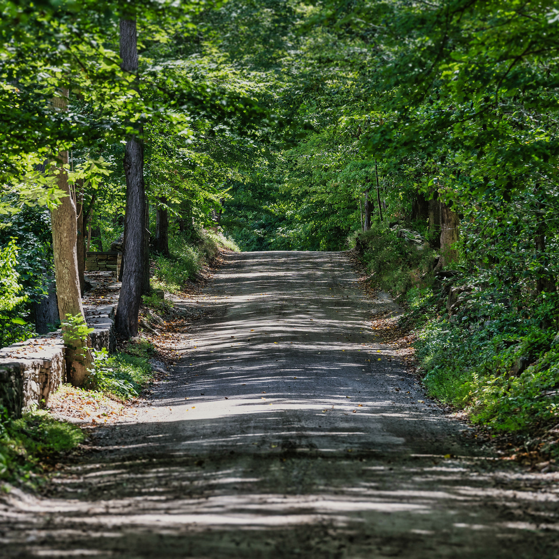 One of the many gravel roads that remain in Bedford as part of Law.