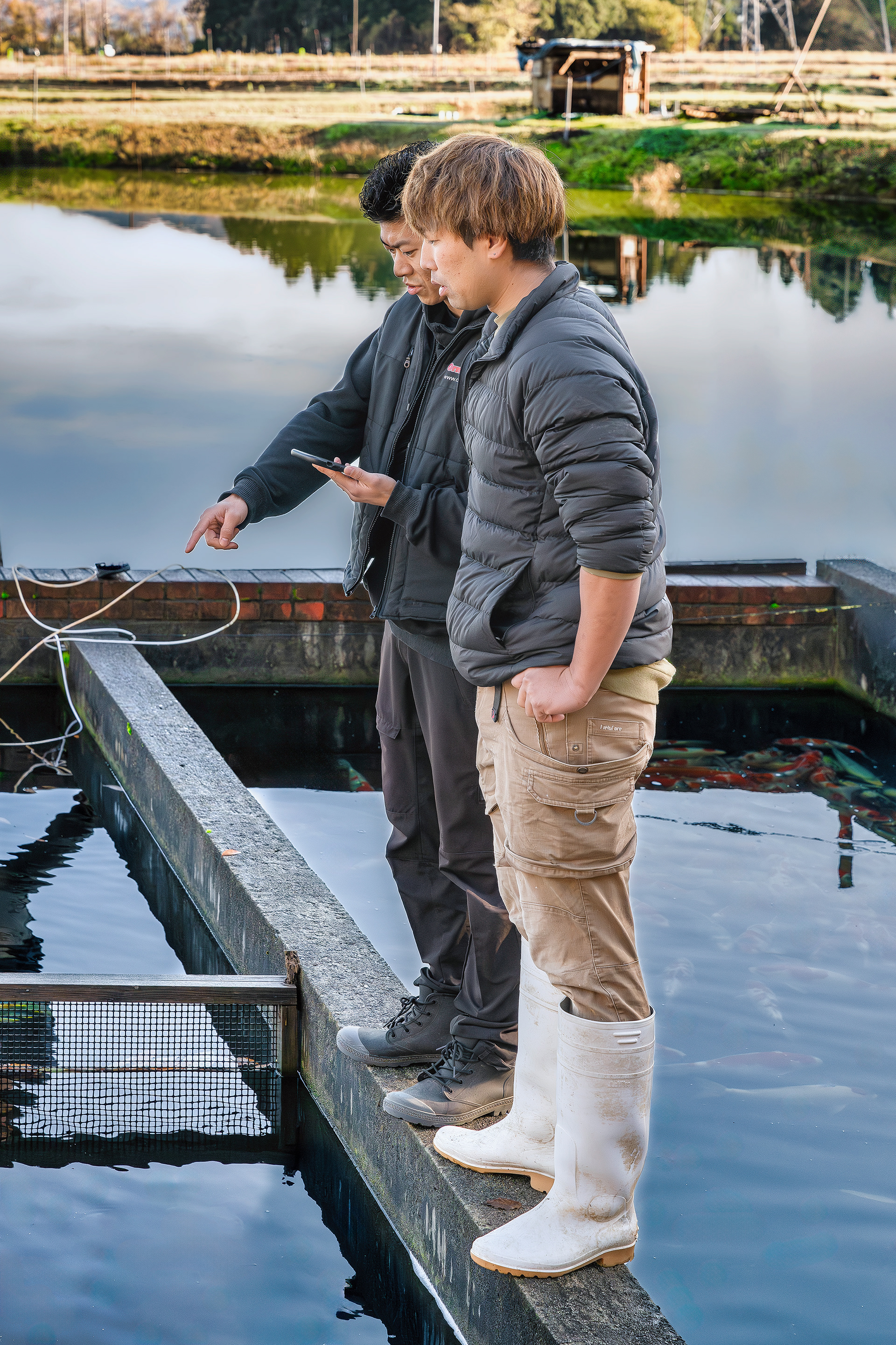 Shotaro tells Roy what koi Koi Market wants