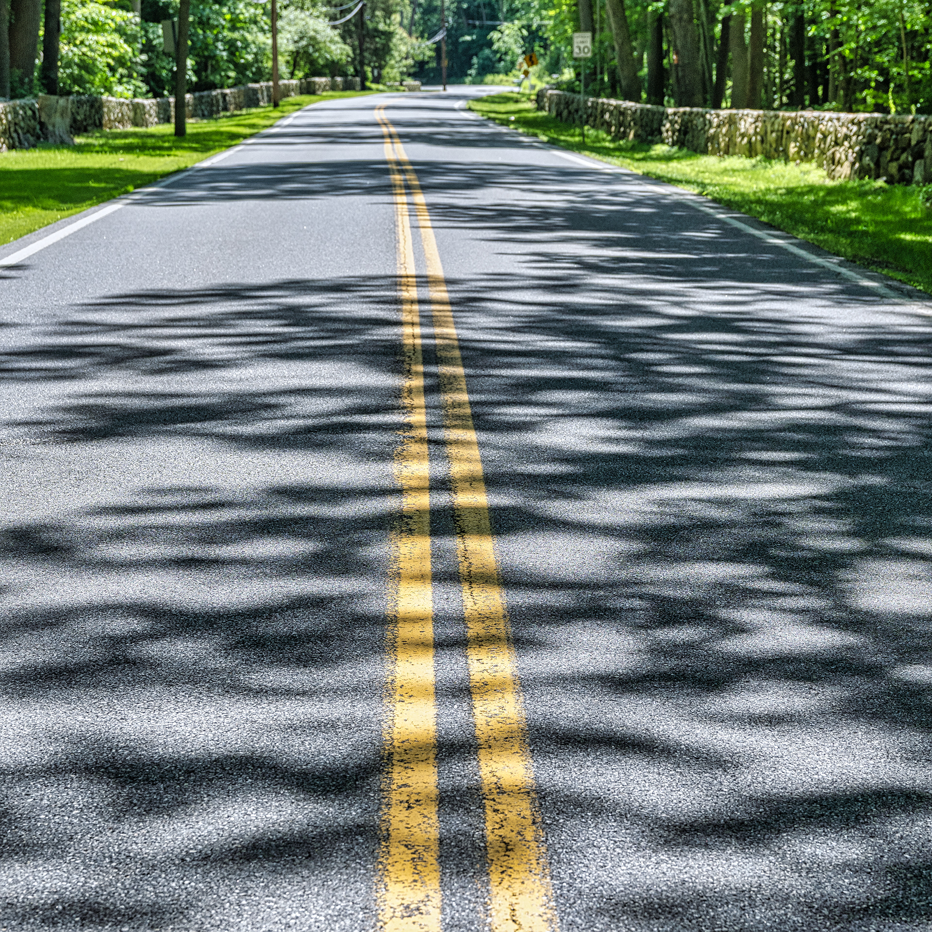 Tree lined roads are what make Sunday drives relaxing.