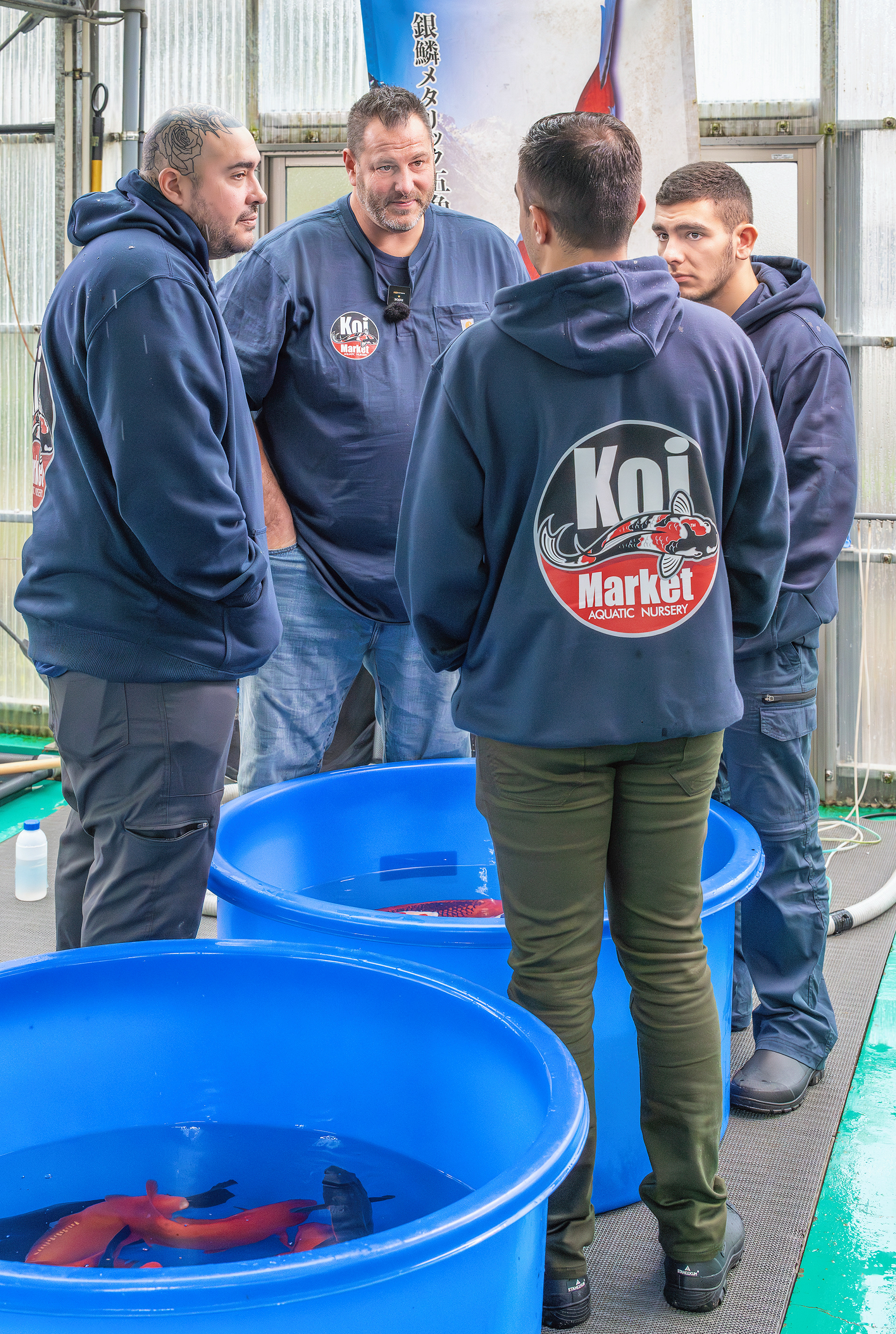 Team Koi Market deciding on koi to purchase