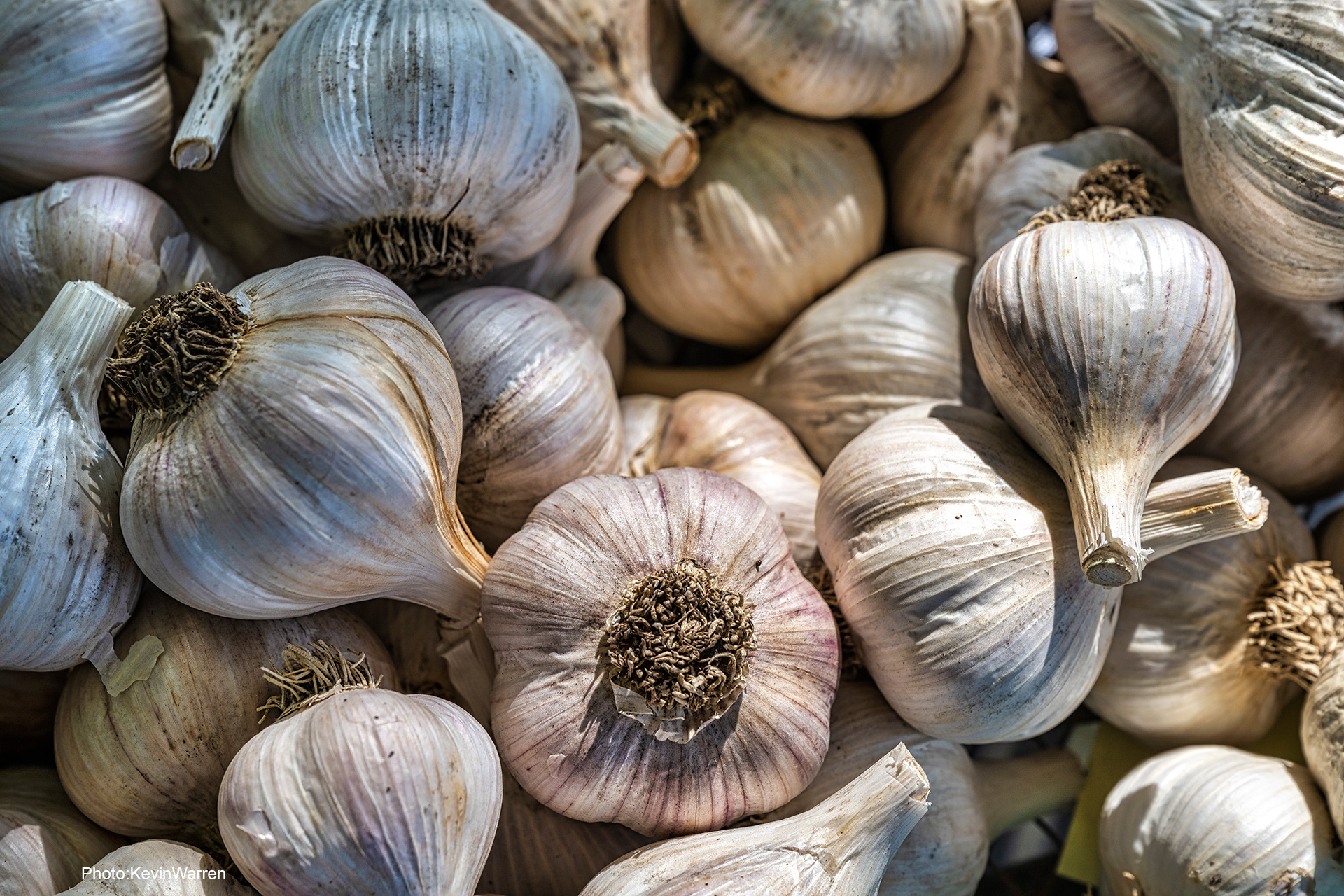 Local Produce is abundant in Bedford.