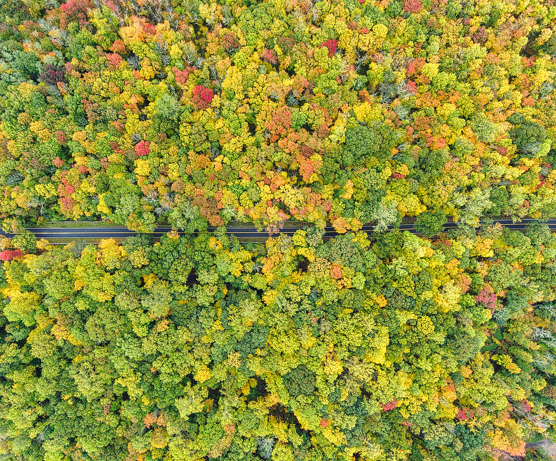 Girdle Ridge Rd between the Caramoor Music Center and Martha Stewarts home.
