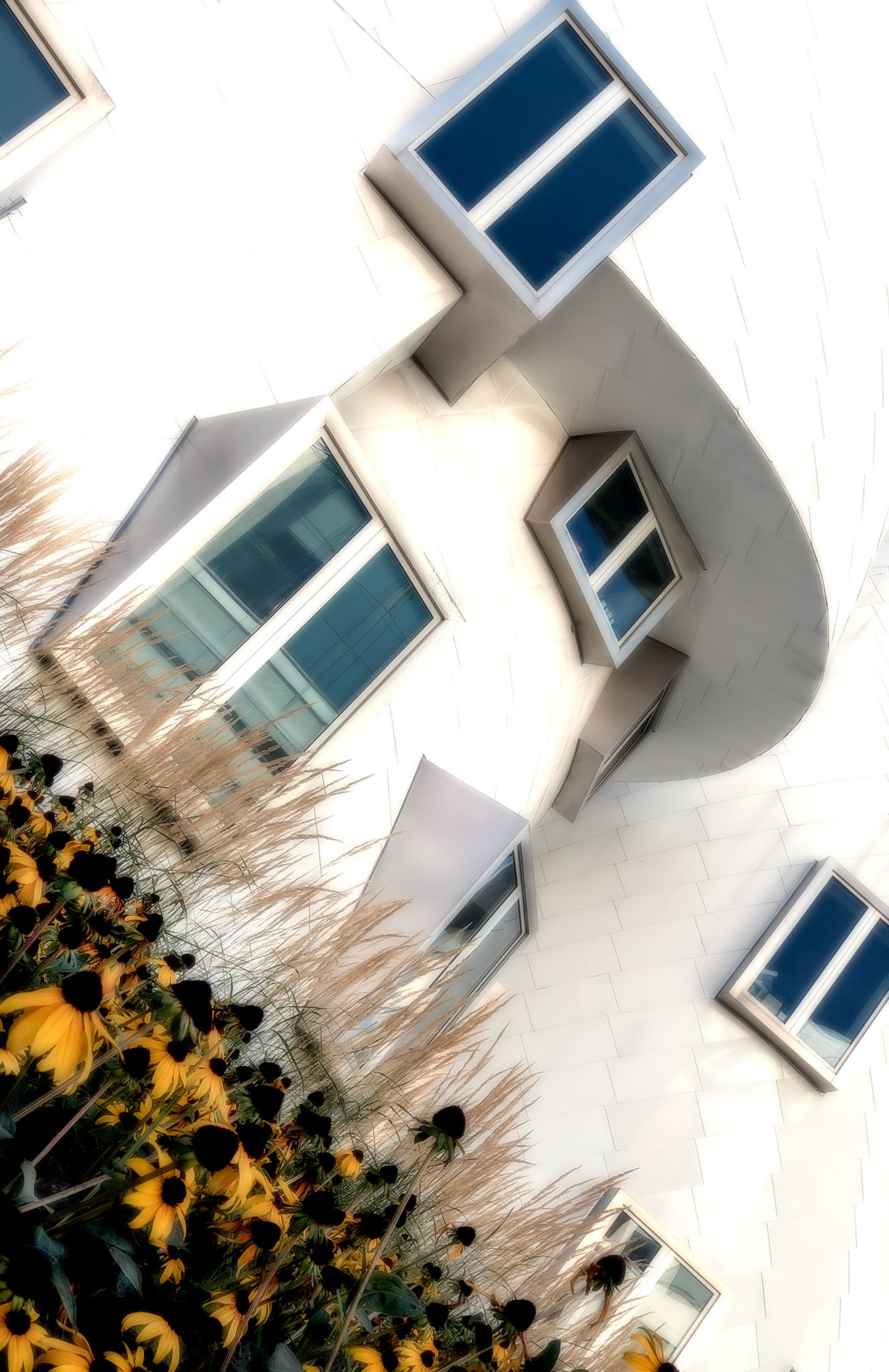 Frank Gehry at MIT is another example of how it’s about the angles that curve.