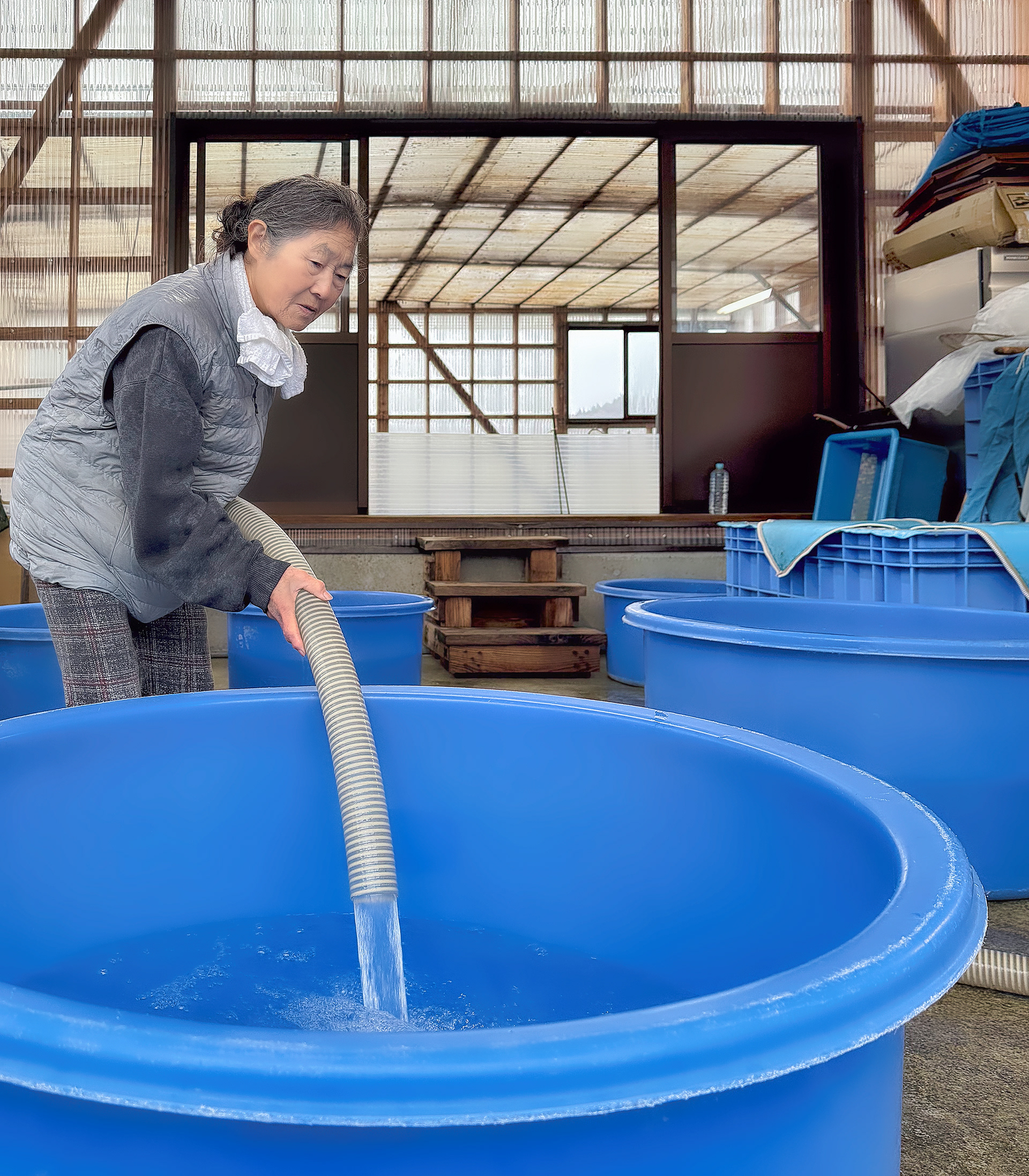 Mrs. Hideaki fills the holding tubs for the live auction.