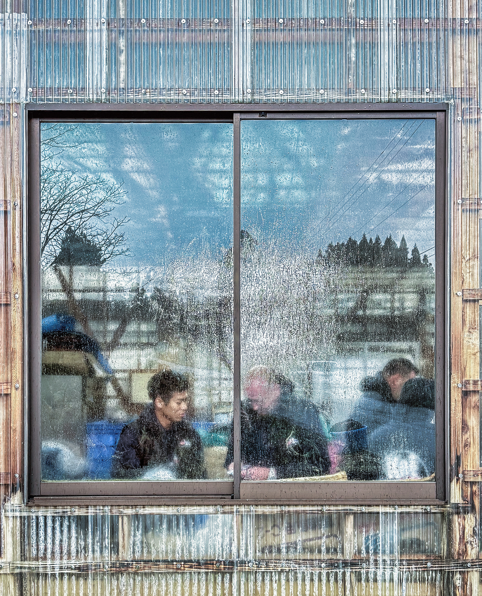 Team Orna Fish at Fukusawa Koi farm with their client, Koi Market Aquatic