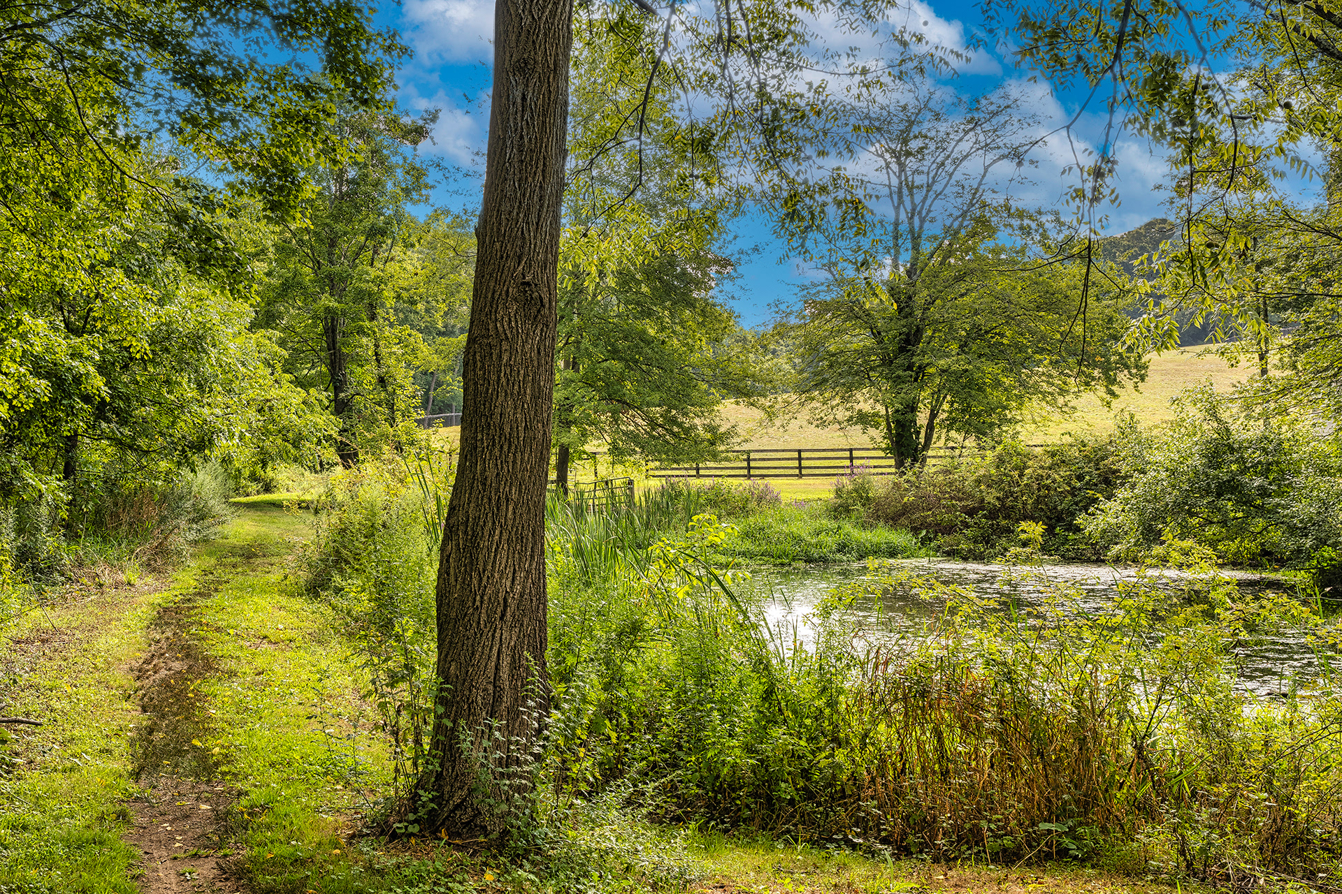 Equestrian trails maintained by the Bedford Riding Lanes are plentiful.