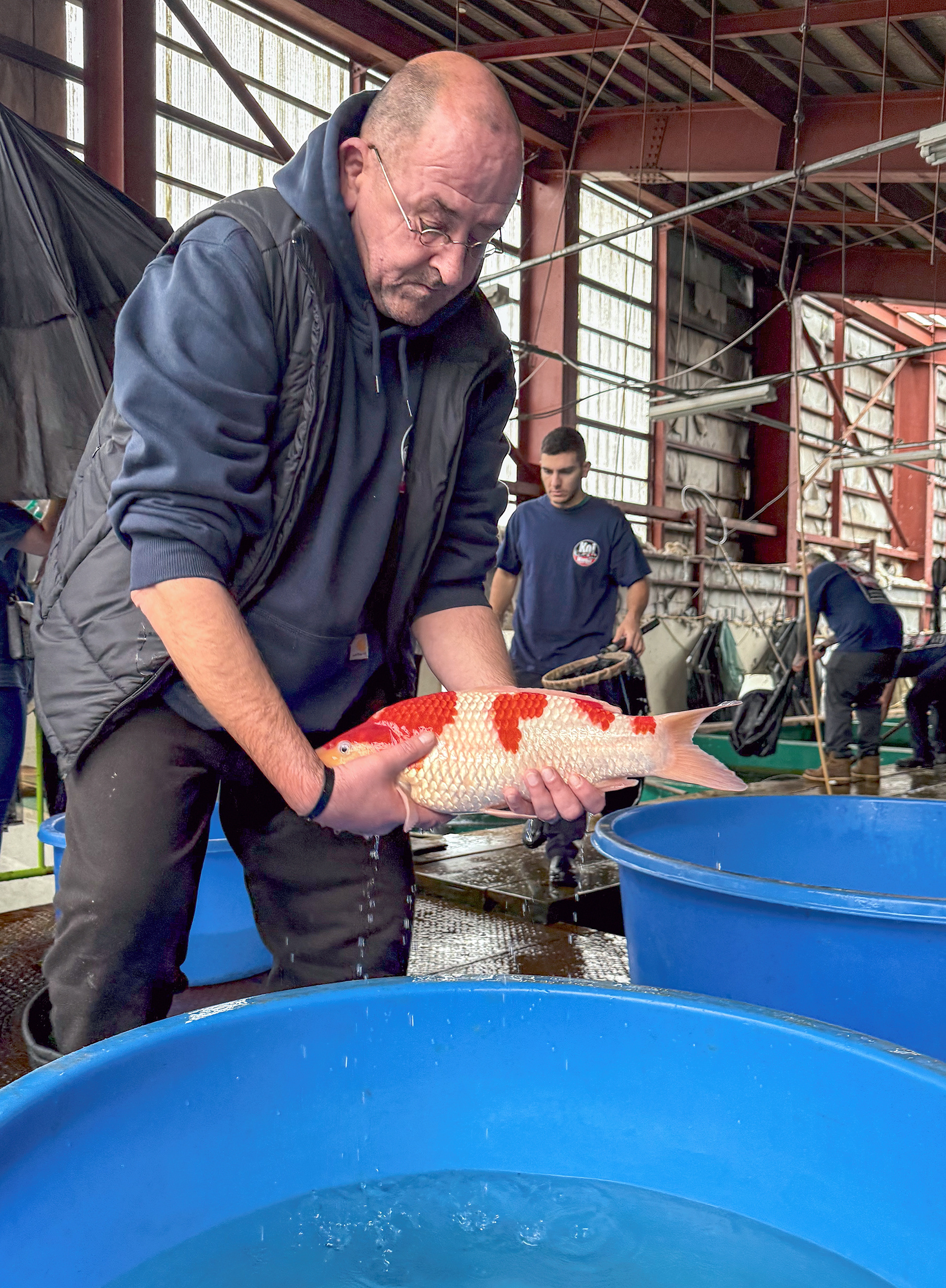 Jeroen Dregmans of Orna Fish has been doing this a long time.