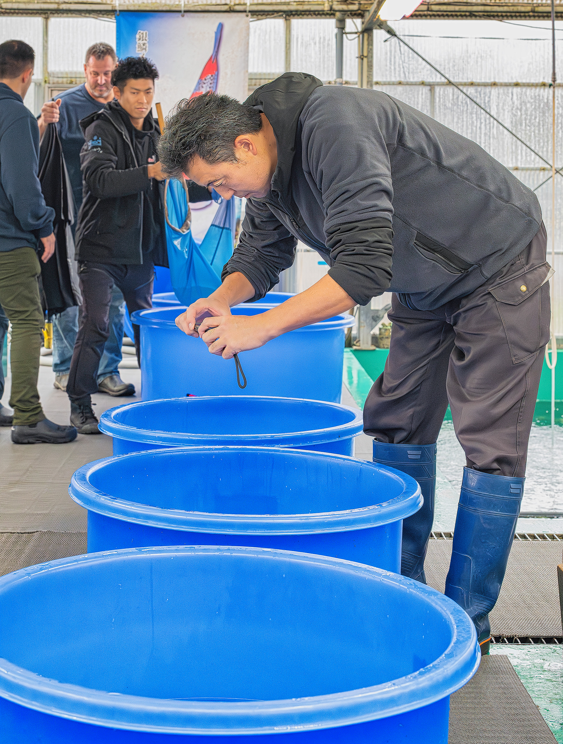 Ao Aokiya documenting sold fish