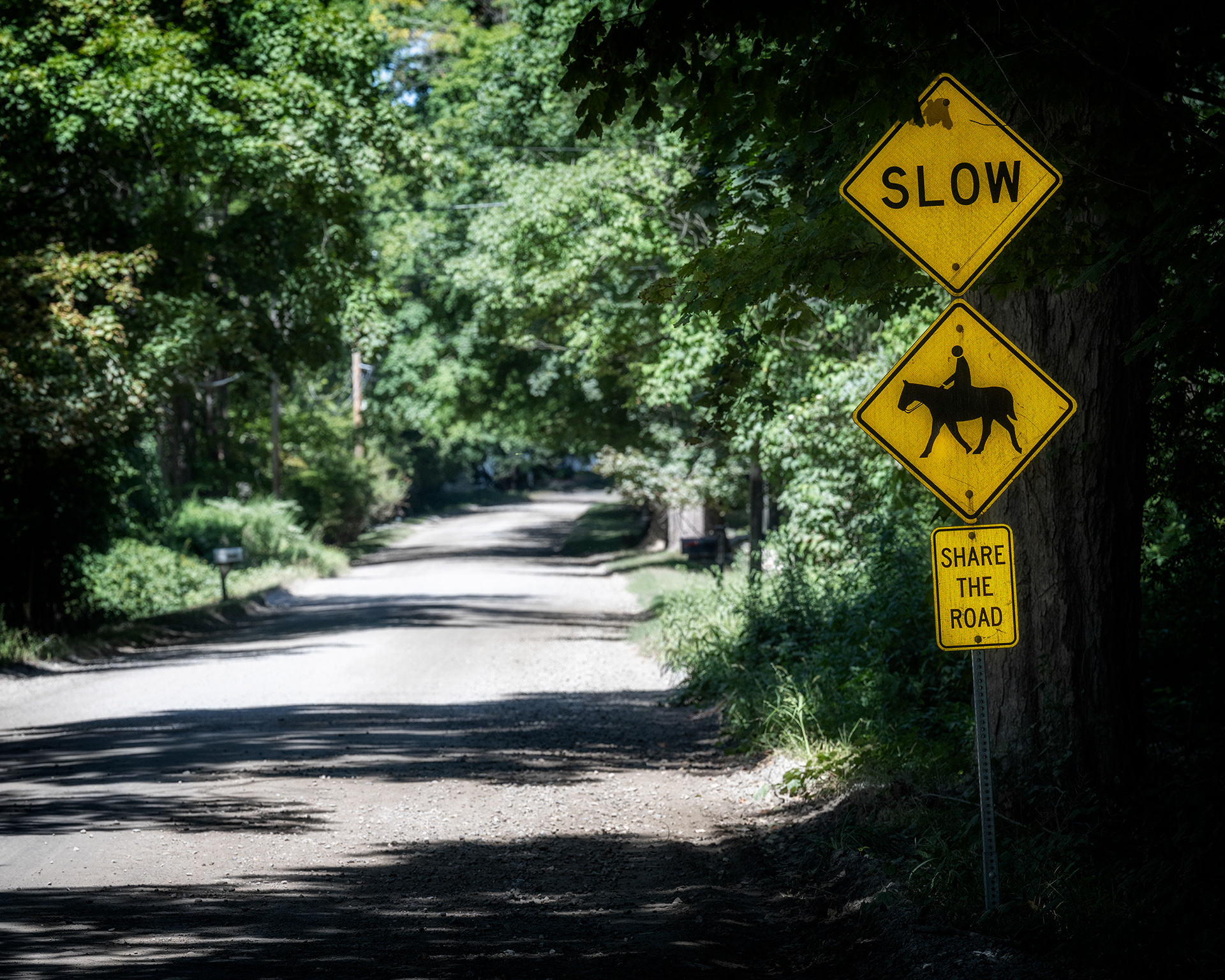 Dirt roads abound in Bedford and most are well marked to remind you of equestrian riders